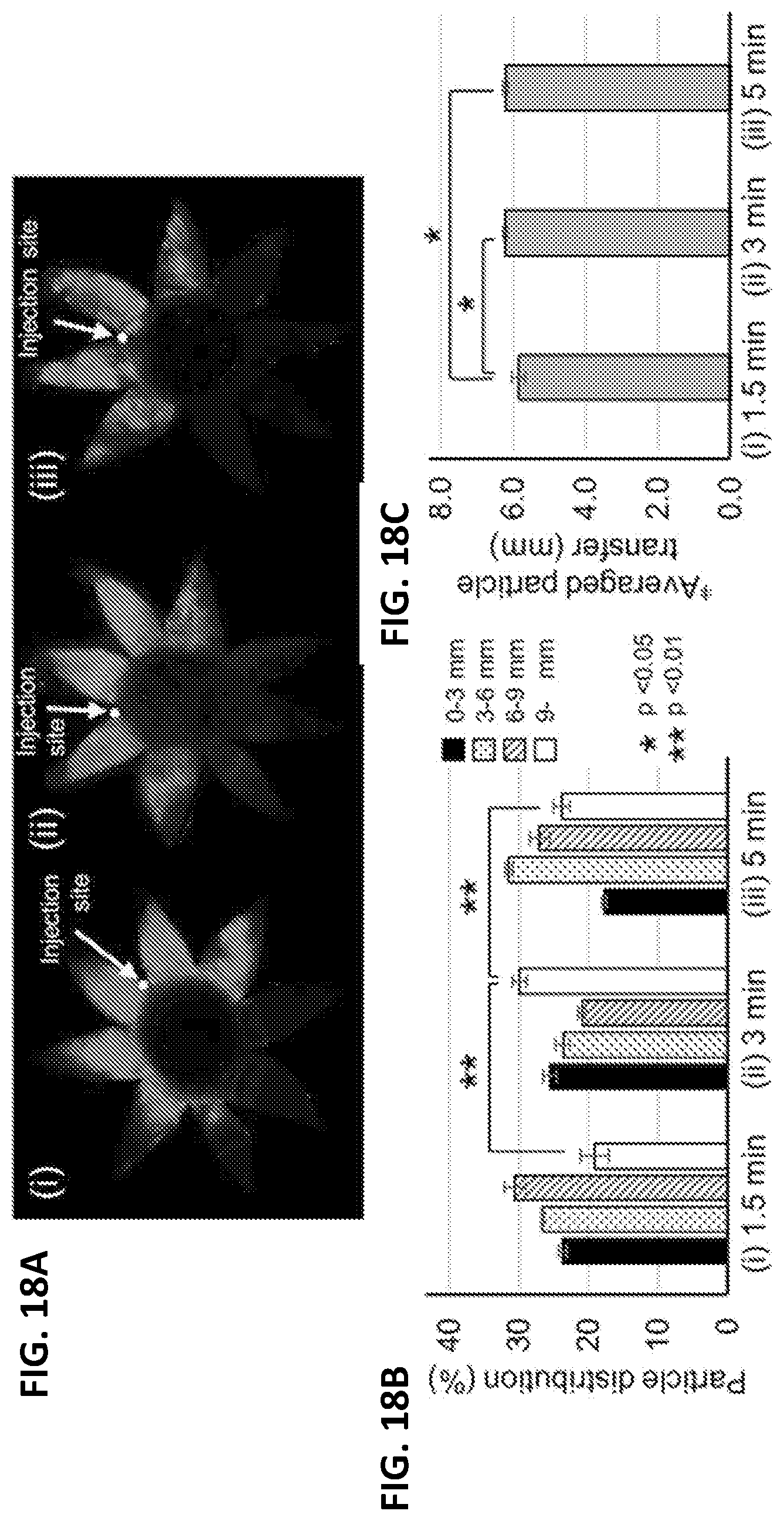 Patent US12090294 Figure 18 – Targeted drug delivery methods using a microneedle