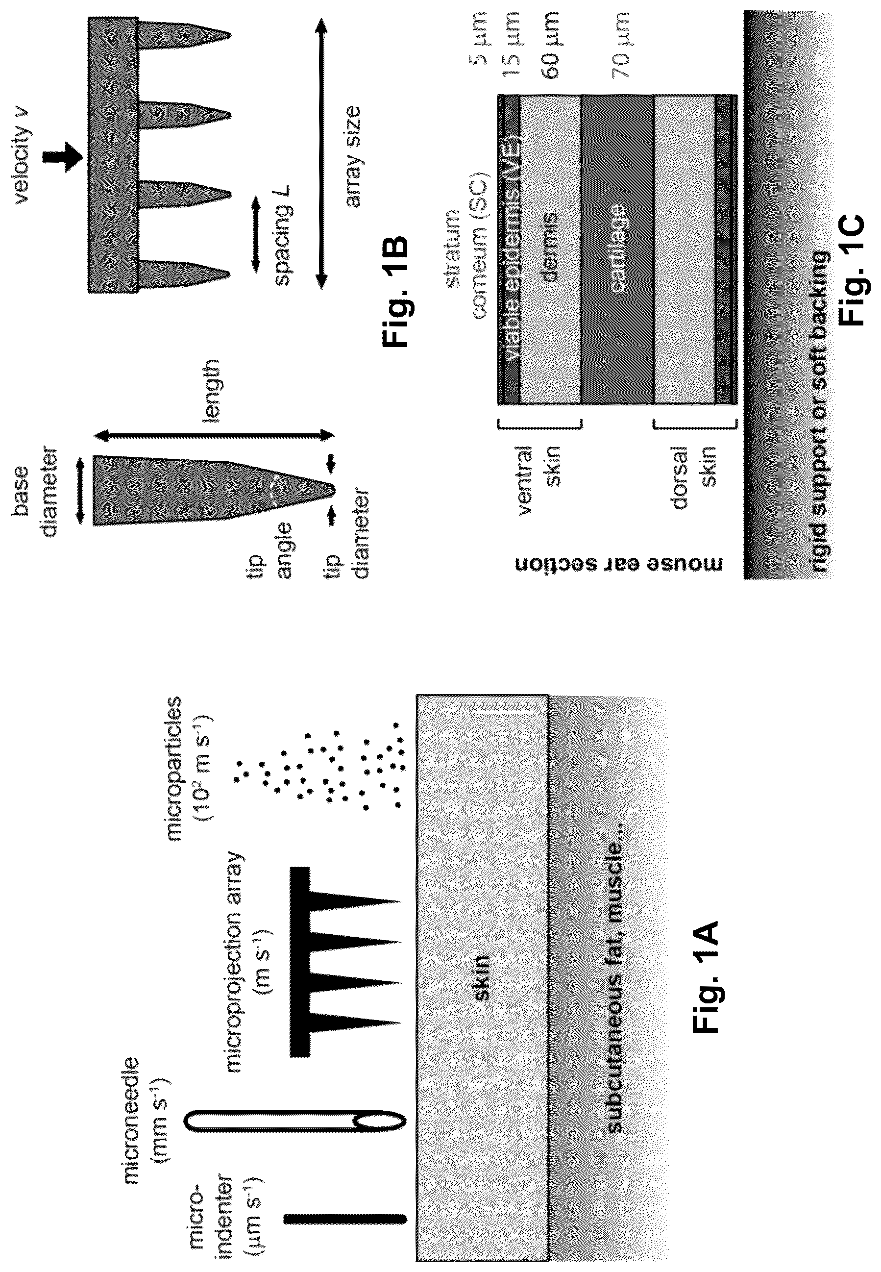 Patent US12090295 Figure 1 – Microprojection arrays with enhanced skin penetrating properties and methods thereof