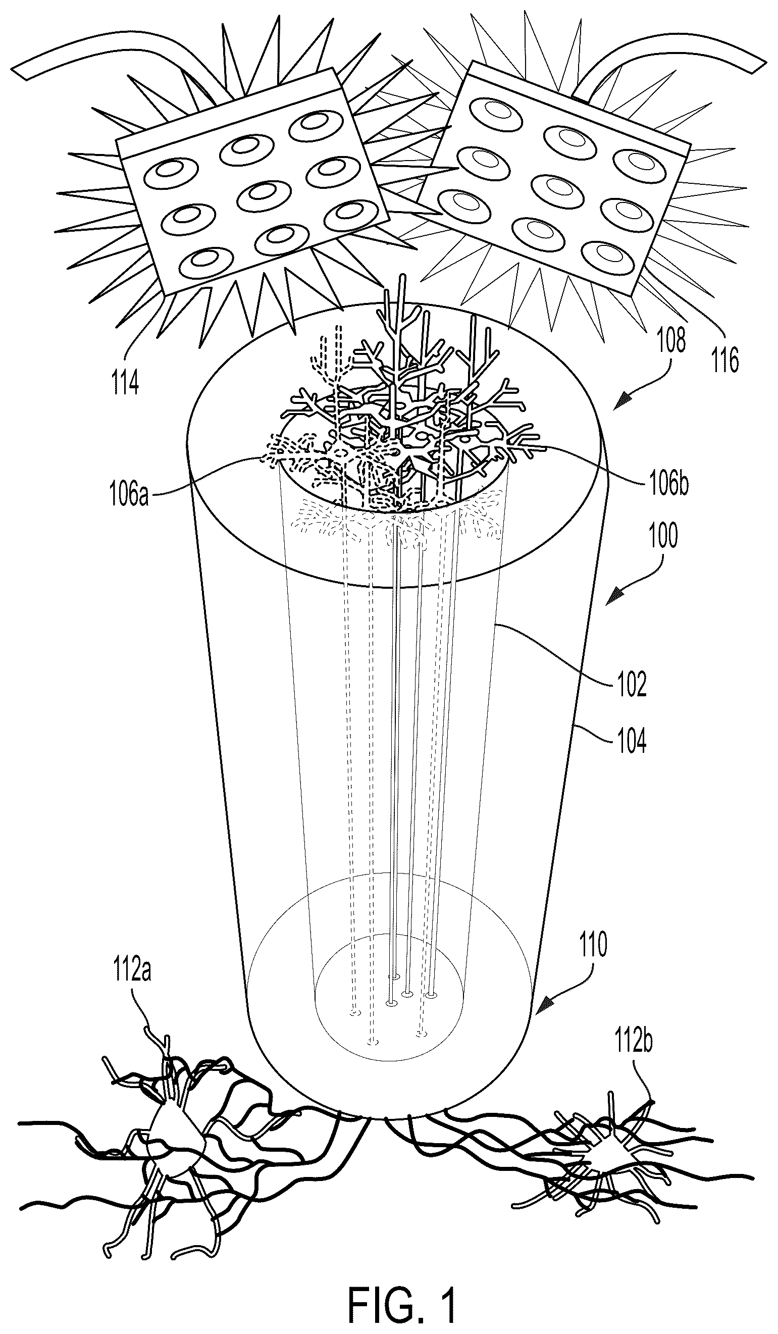 Patent US12090323 Figure 1 – Implantable living electrodes and methods for use thereof