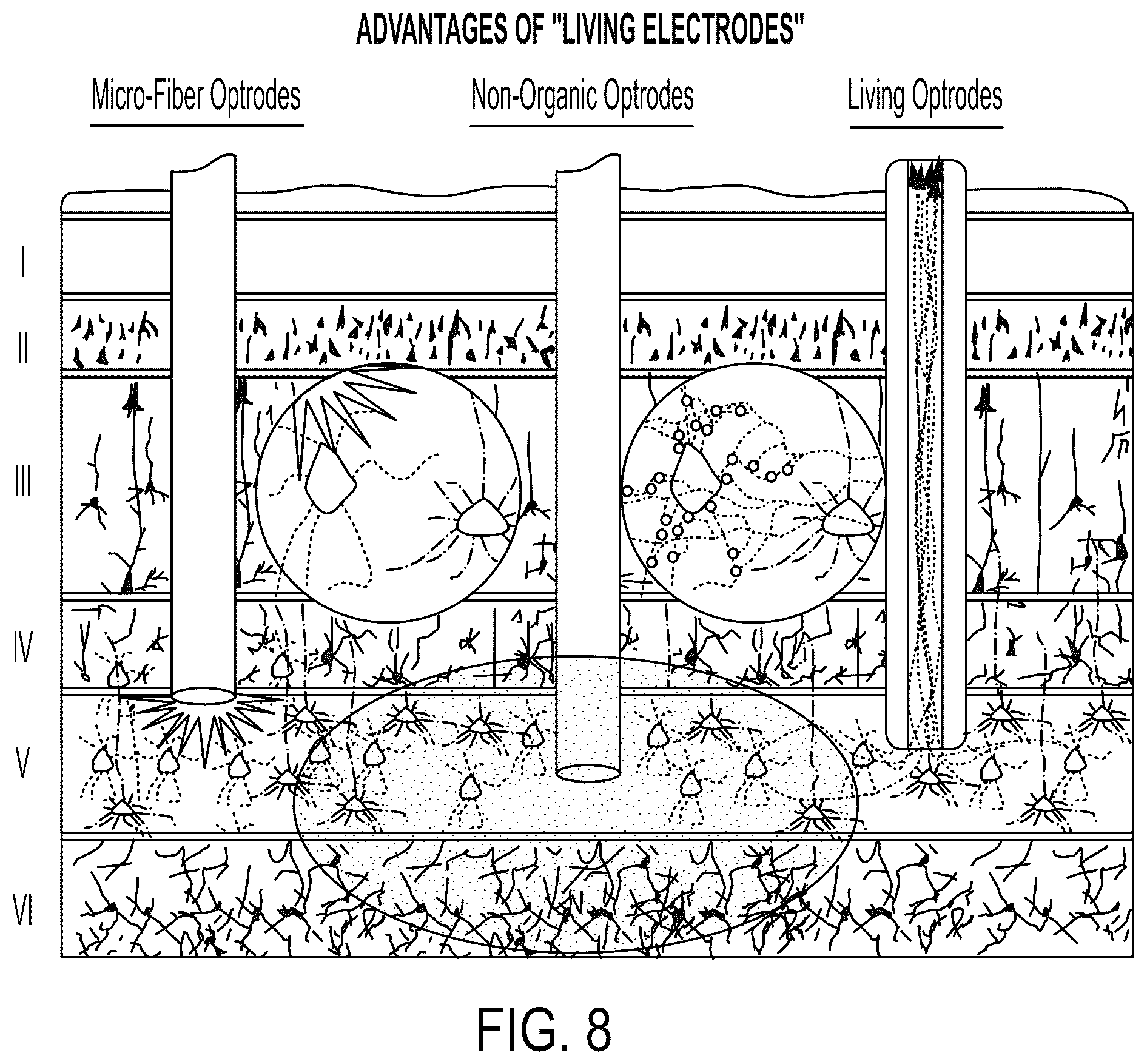 Patent US12090323 Figure 7 – Implantable living electrodes and methods for use thereof