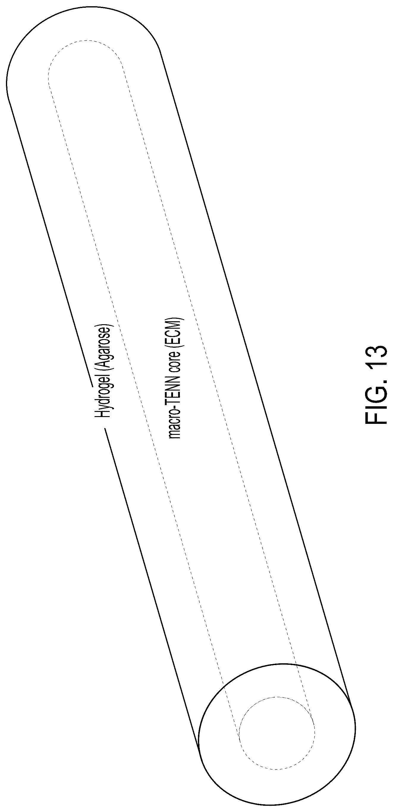 Patent US12090323 Figure 13 – Implantable living electrodes and methods for use thereof
