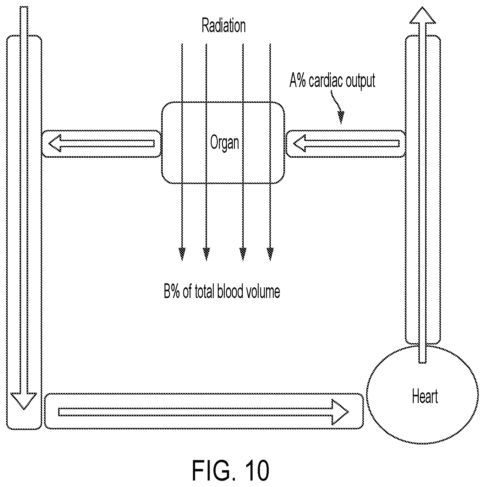 Patent US12090338 Figure 12 – Immune dose computation for treatment plan optimization in radiotherapy