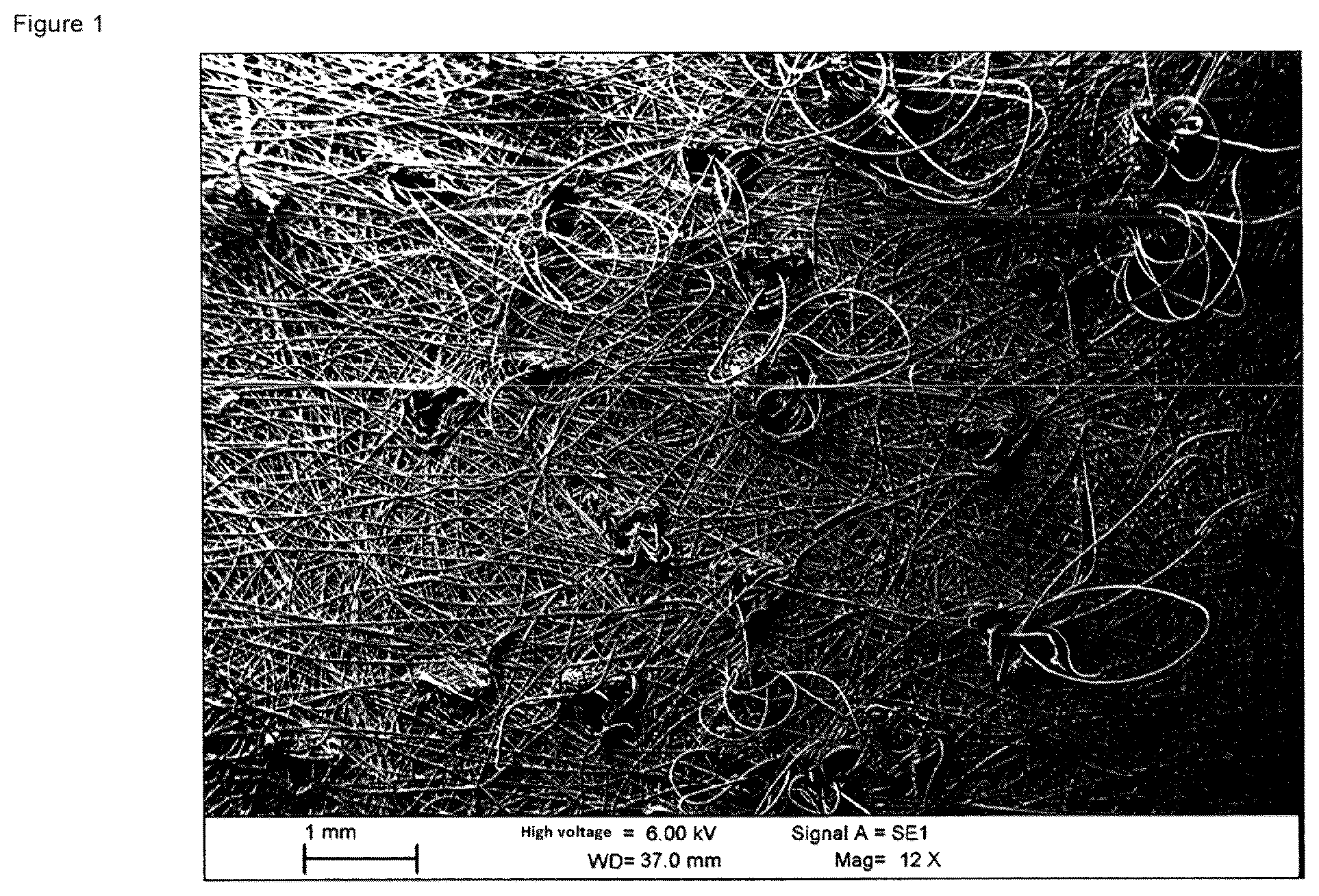 Patent US12090432 Figure 1 – Filter medium