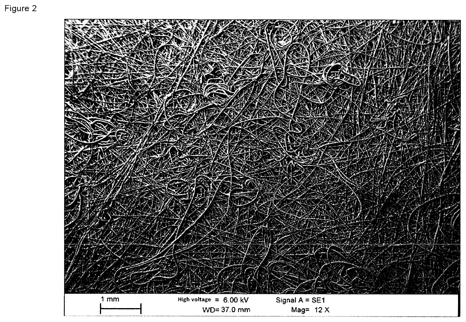 Patent US12090432 Figure 2 – Filter medium
