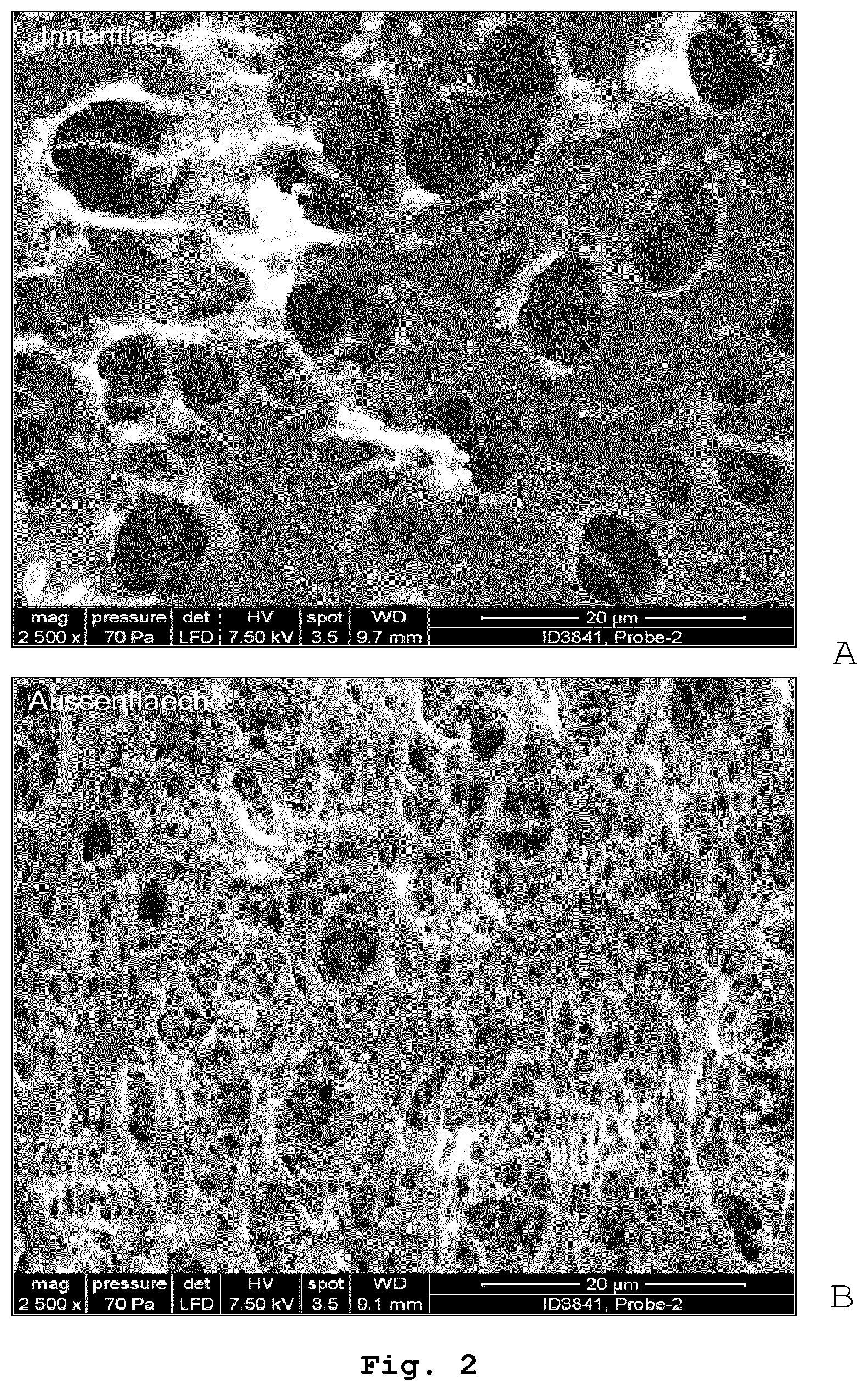 Patent US12090447 Figure 2 – Doped membranes