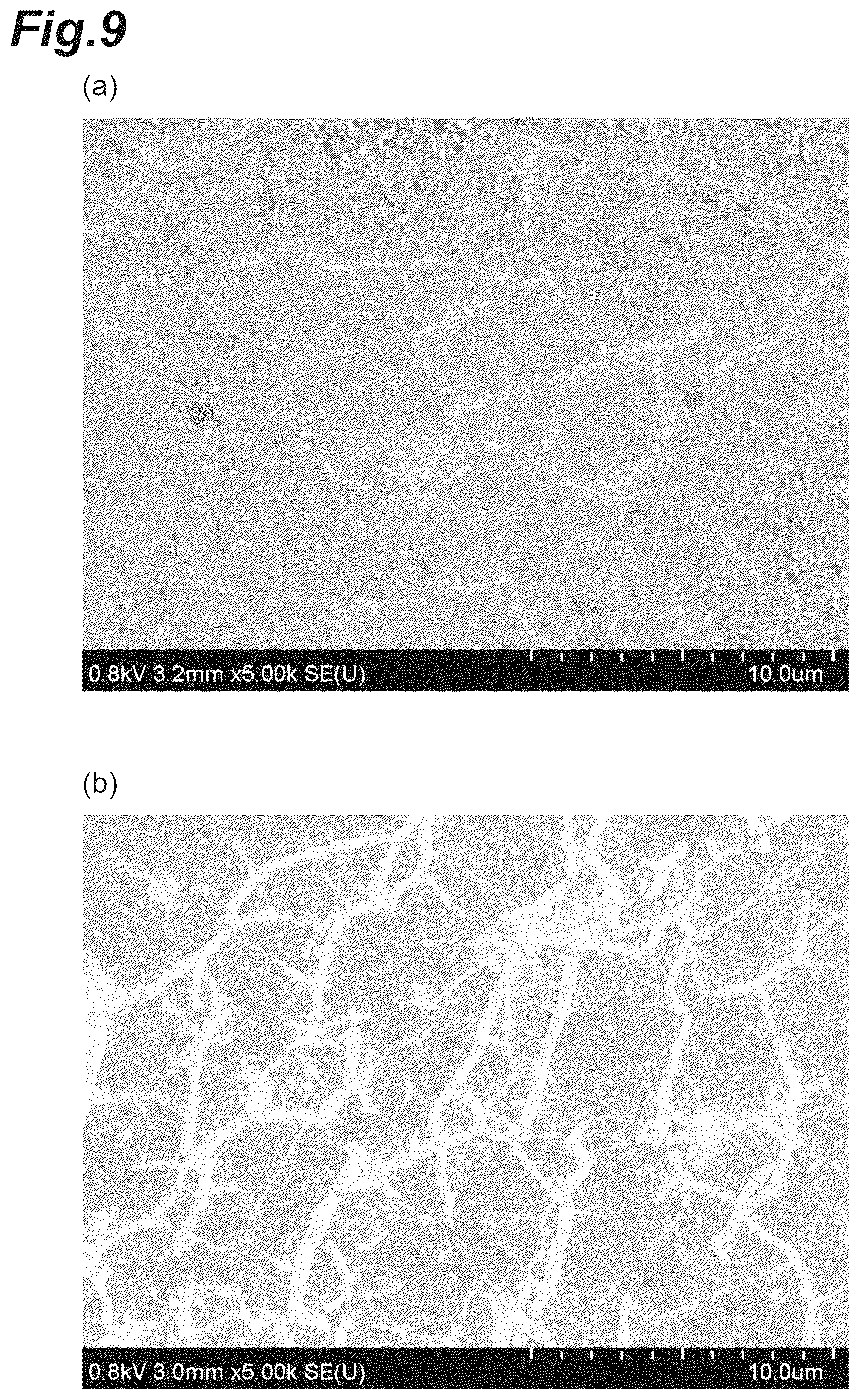 Patent US12090448 Figure 9 – Carbon material and method for producing carbon material