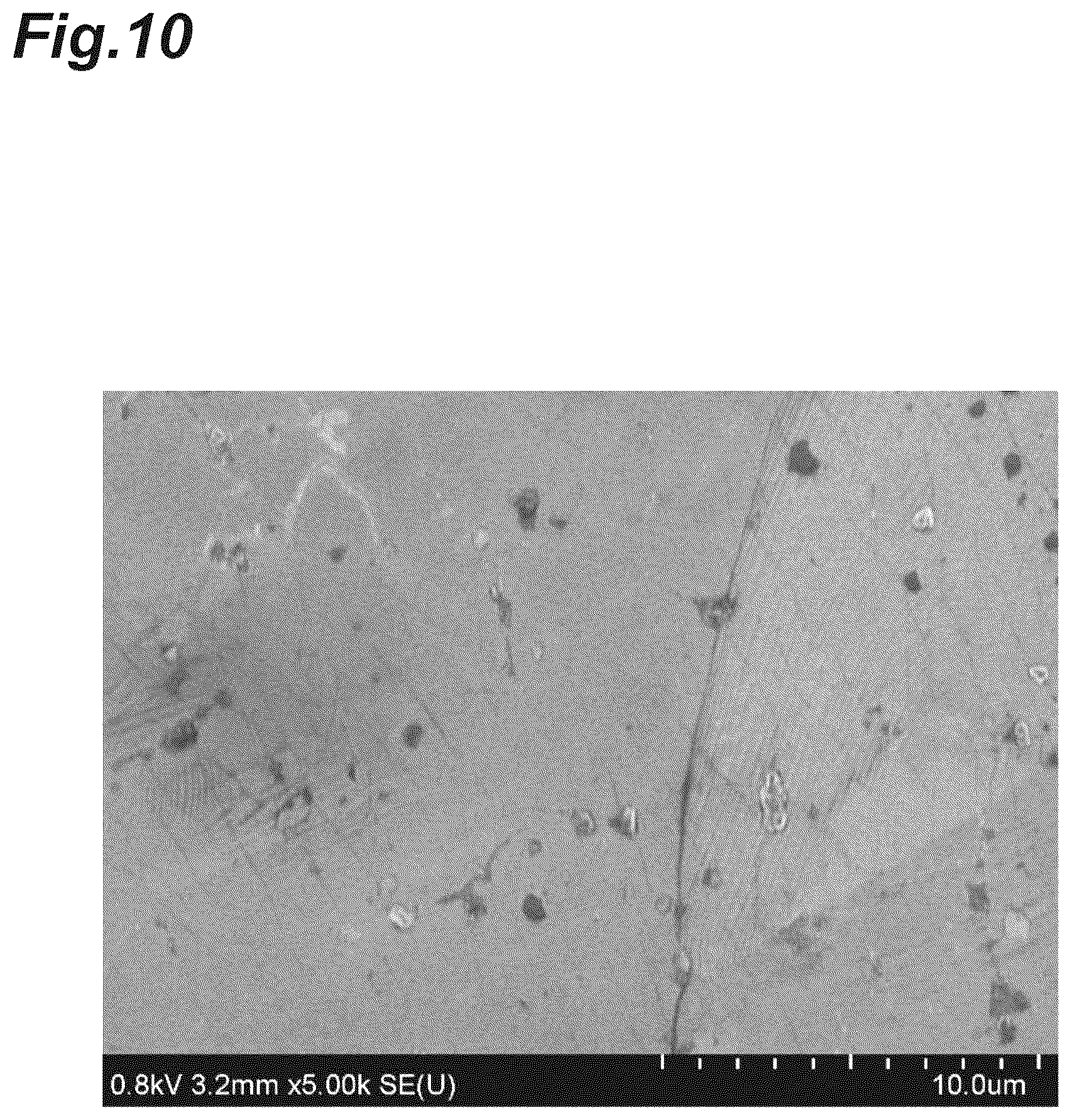 Patent US12090448 Figure 10 – Carbon material and method for producing carbon material