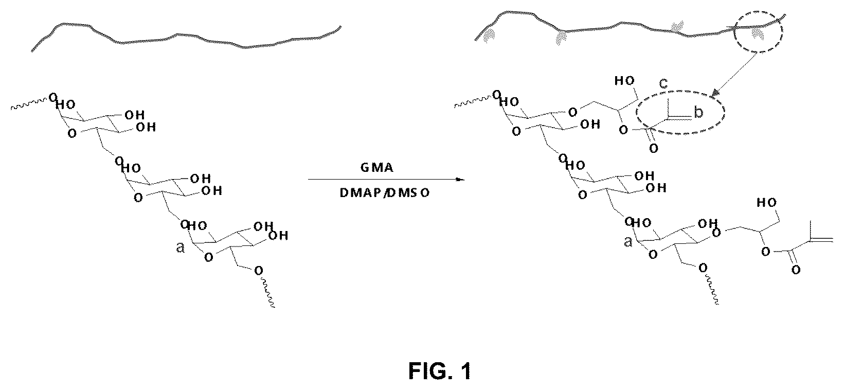Patent US12090459 Figure 1 – Photodegradable hydrogel