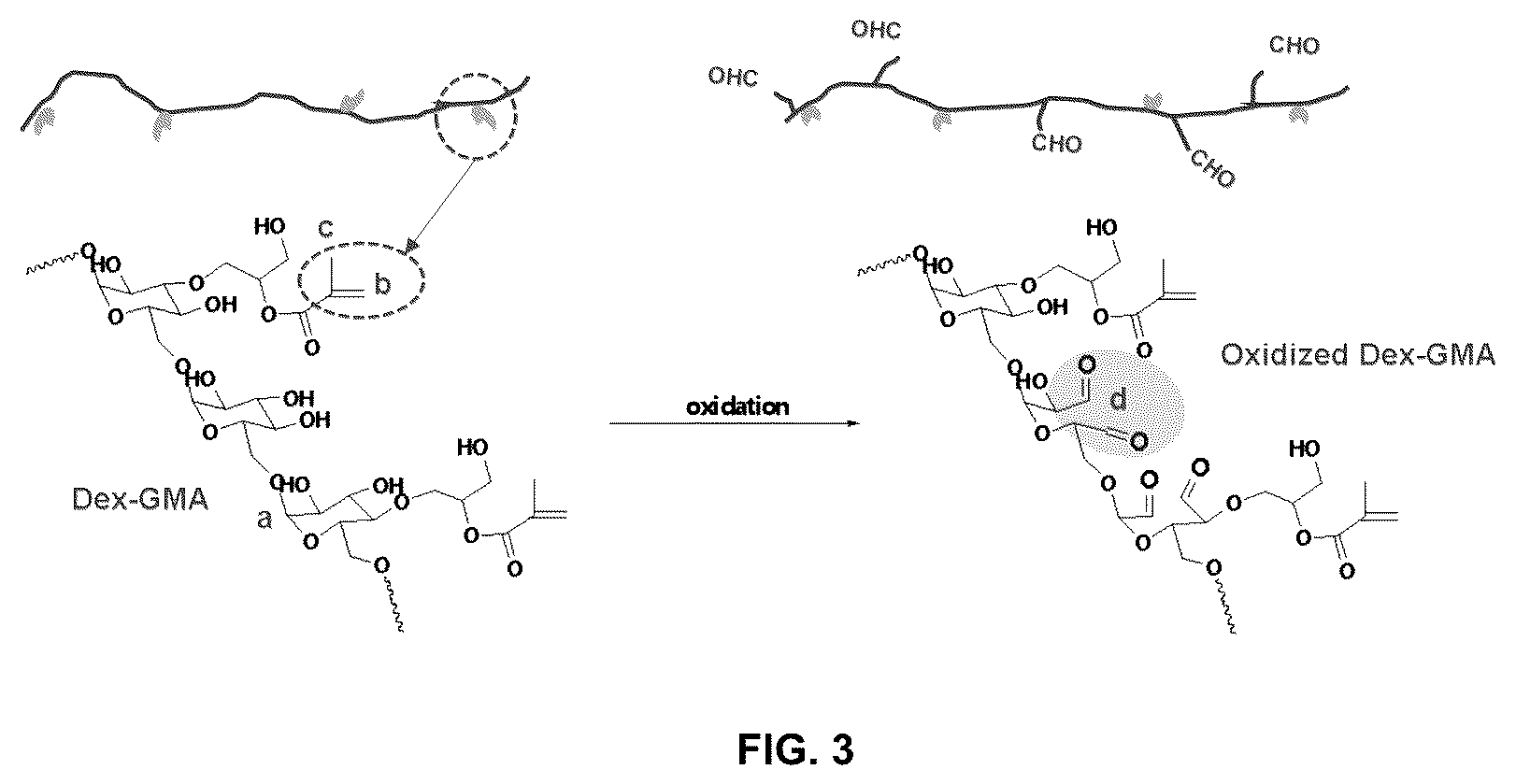 Patent US12090459 Figure 3 – Photodegradable hydrogel