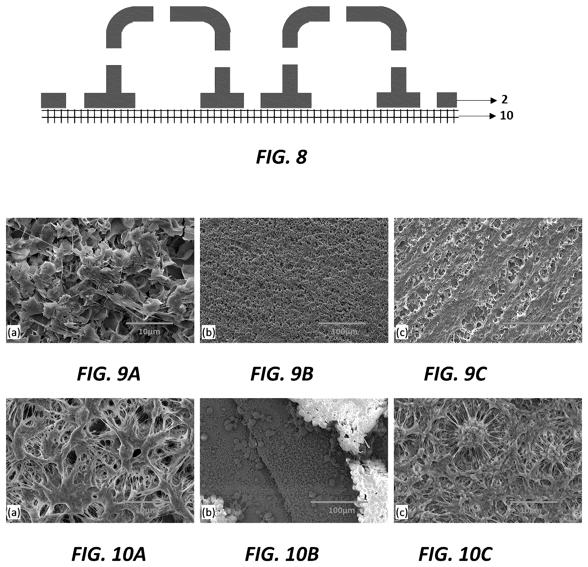 Patent US12090465 Figure 4 – Method to improve compatibility of waste polypropylene and polyethylene blend via thermally induced phase separation and preparation of reusable oil sorbent with 3D structure