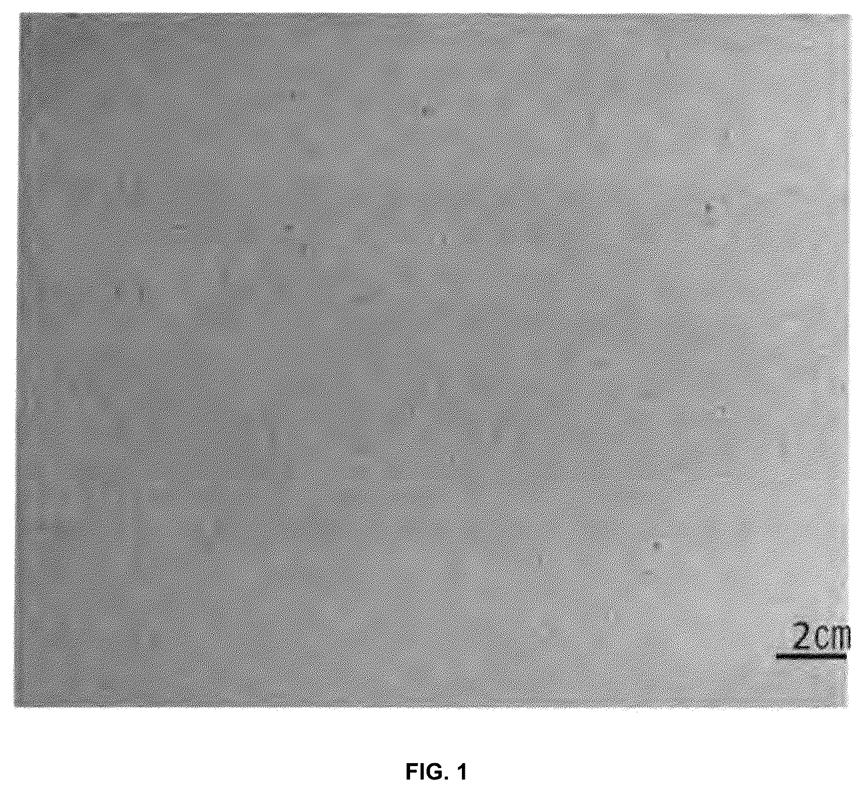 Patent US12090549 Figure 1 – Method for manufacturing porous metal body, and porous metal body
