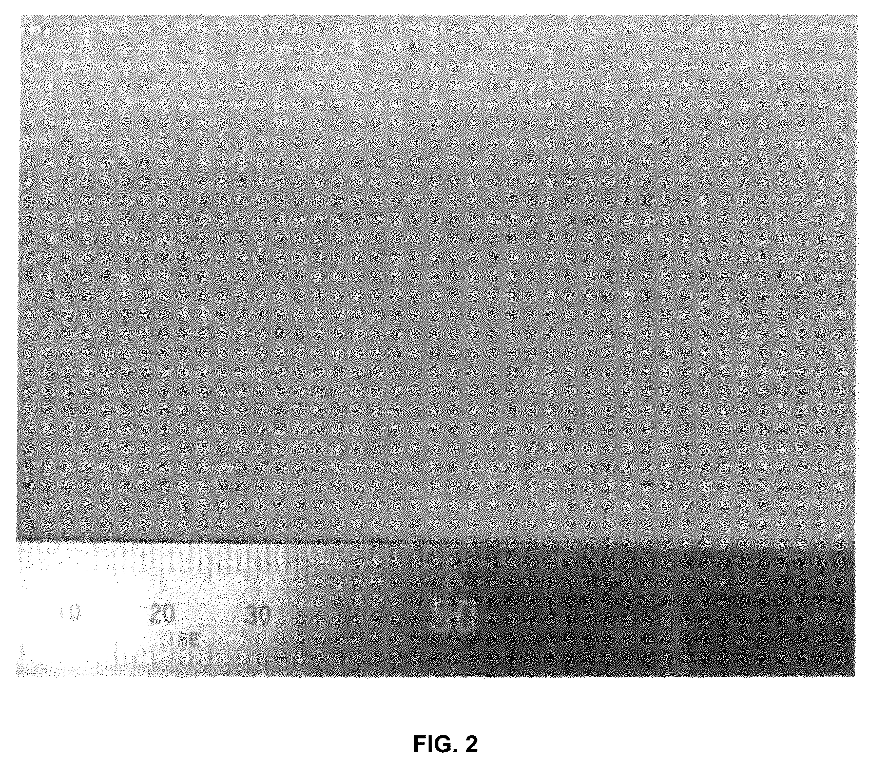 Patent US12090549 Figure 2 – Method for manufacturing porous metal body, and porous metal body