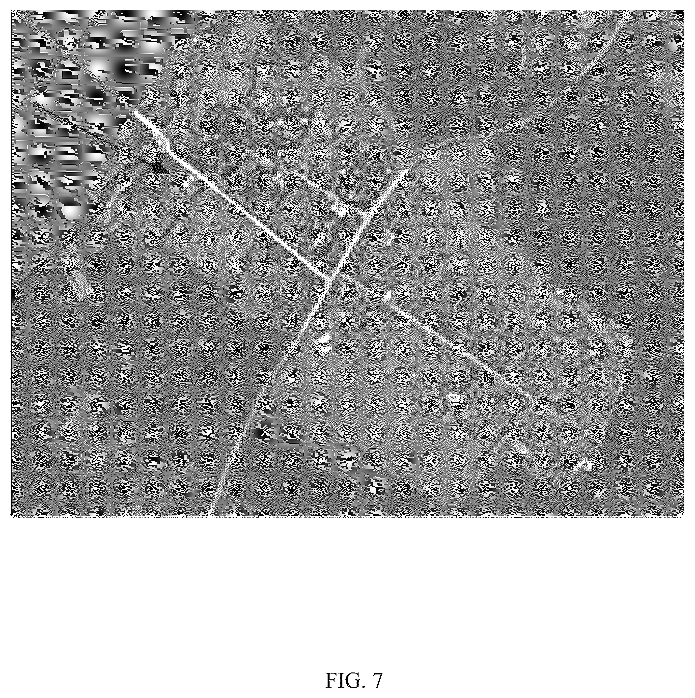 Patent US12092463 Figure 11 – Real-time display method, device, system and storage medium of three-dimensional point cloud