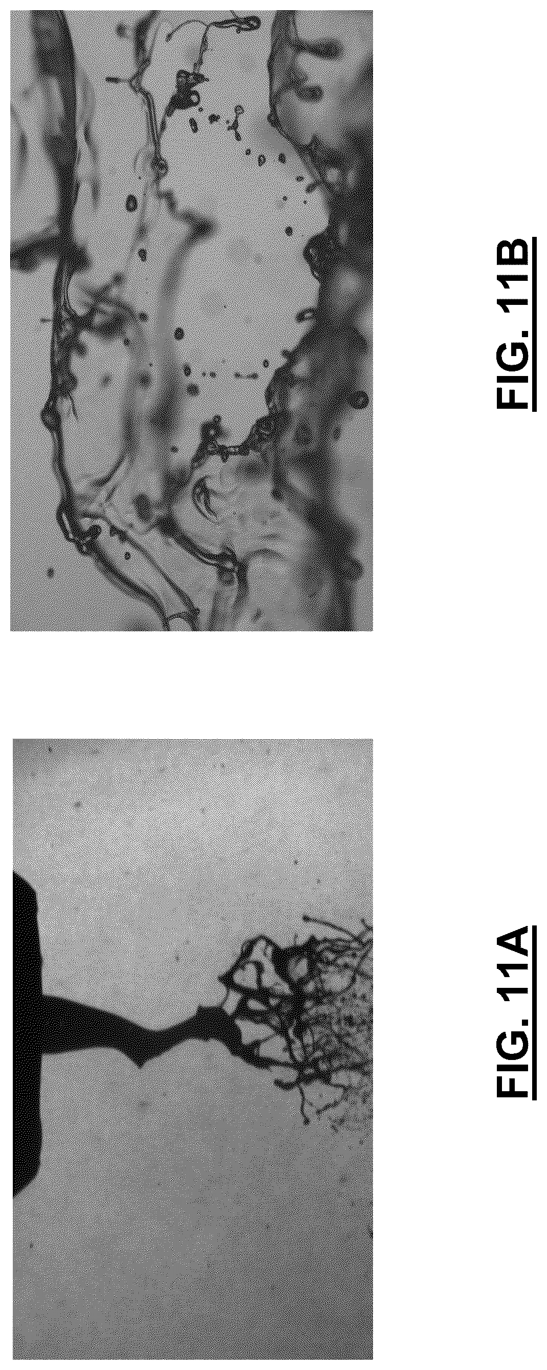 Patent US12092559 Figure 10 – Method, system, and lighting module for fast-moving particle characterization