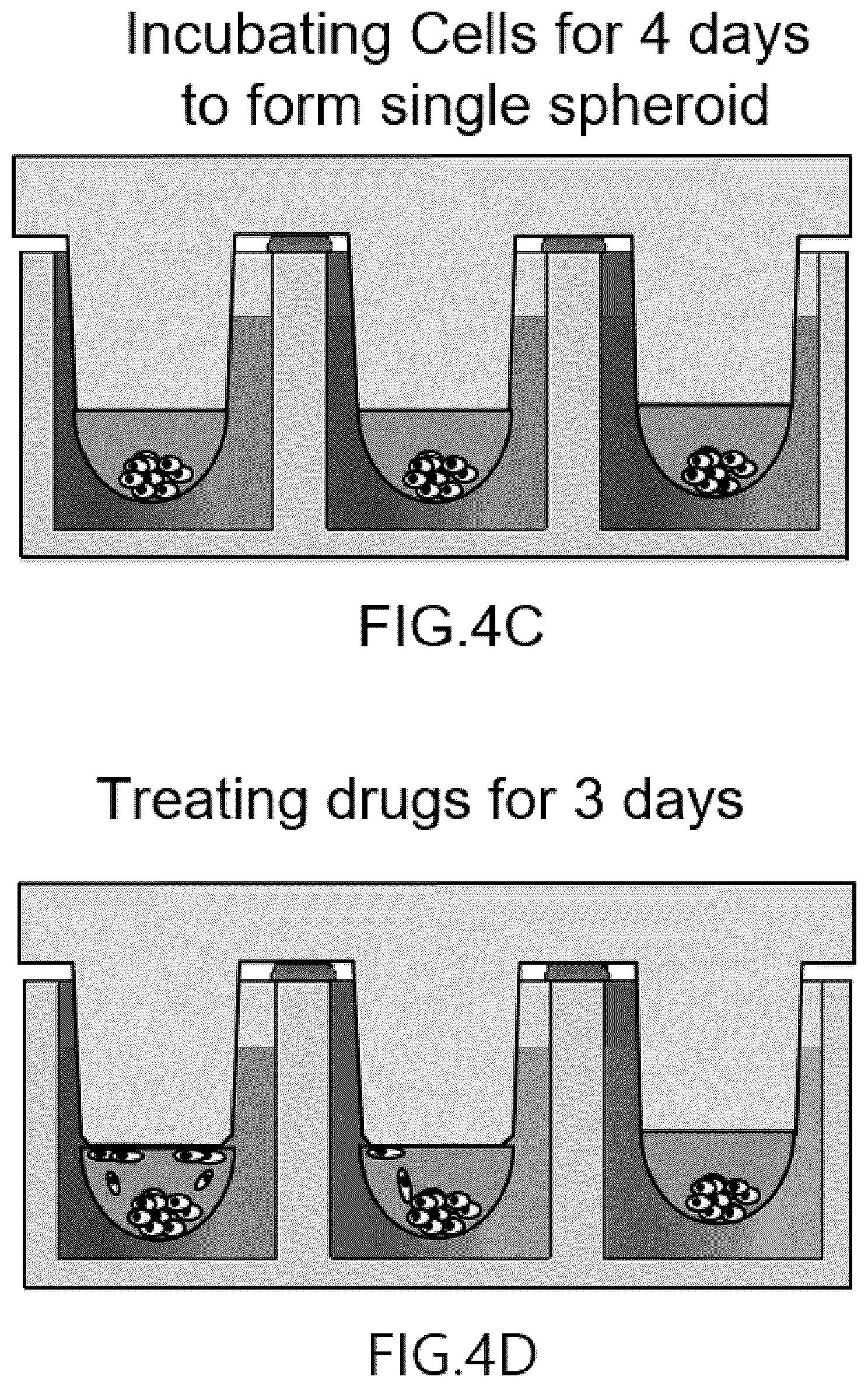 Patent US12092575 Figure 4 – Measuring method of cell migration using the rate of cell invasion