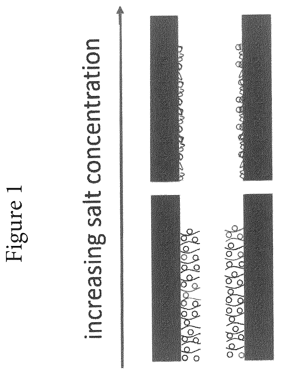 Patent US12092621 Figure 1 – Method of determining the concentration of at least one compound in a chromatography device