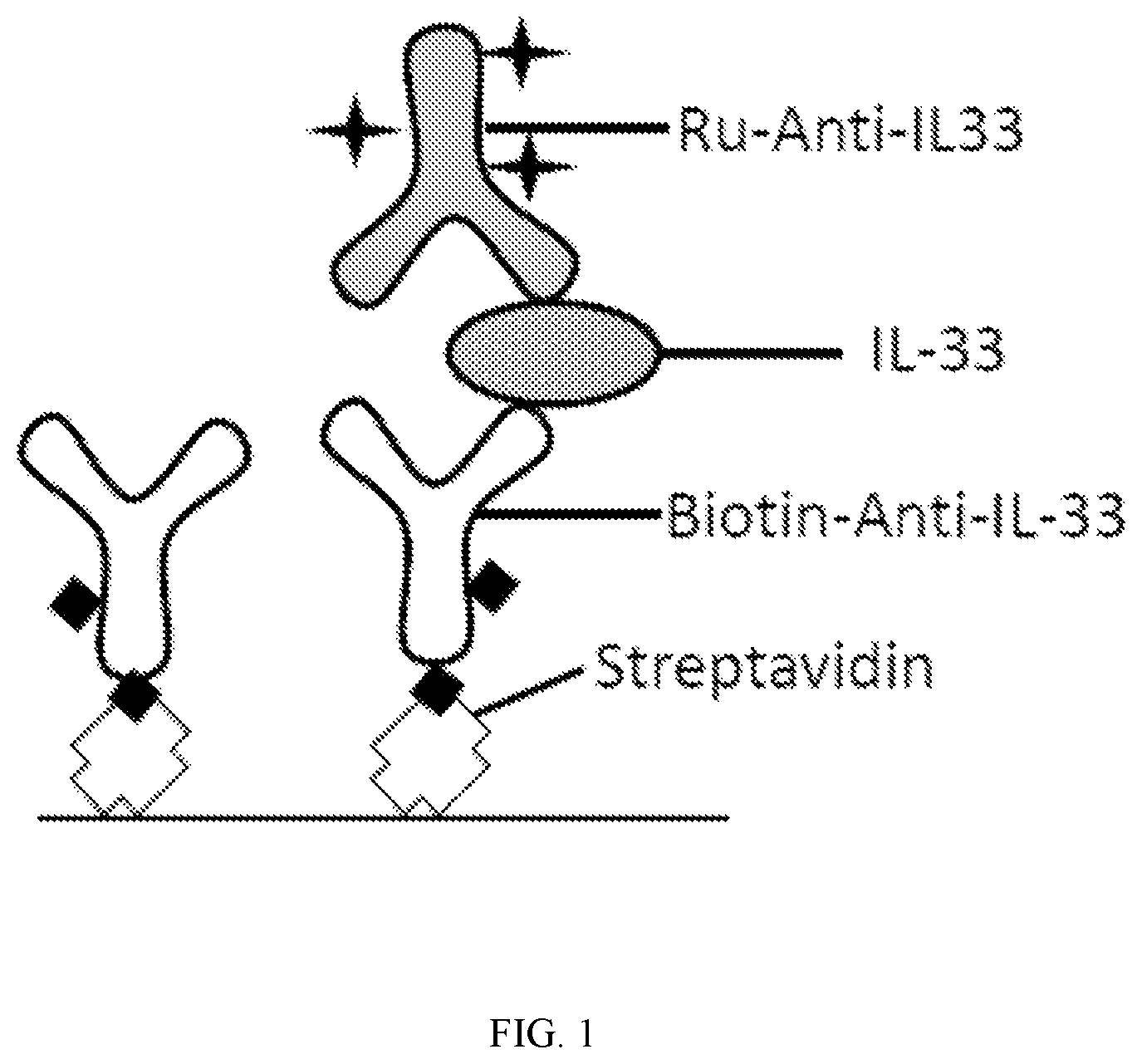 Patent US12092634 Figure 1 – Methods for quantifying IL-33