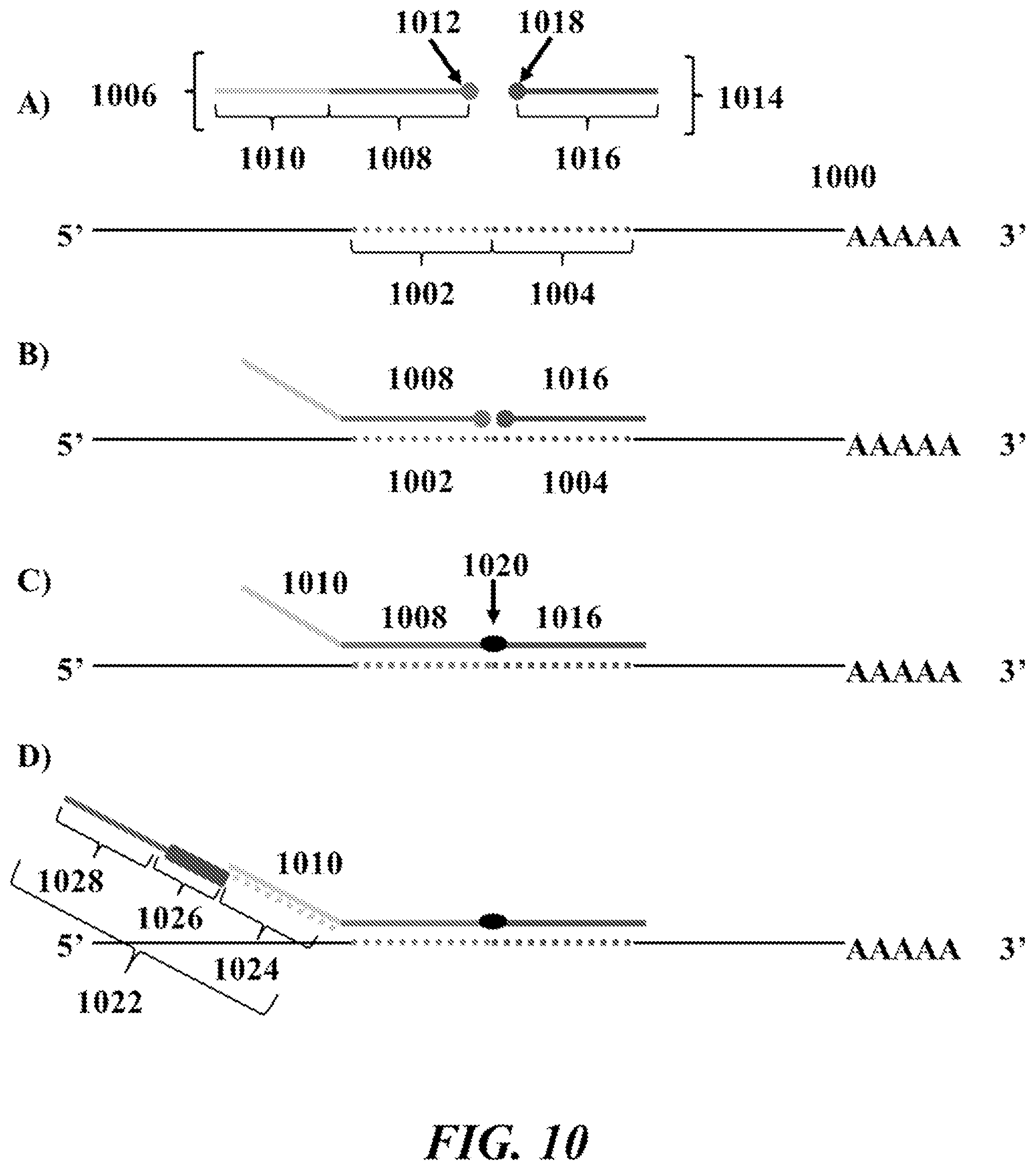 Patent US12092635 Figure 10 – Methods and systems for characterizing analytes from individual cells or cell populations