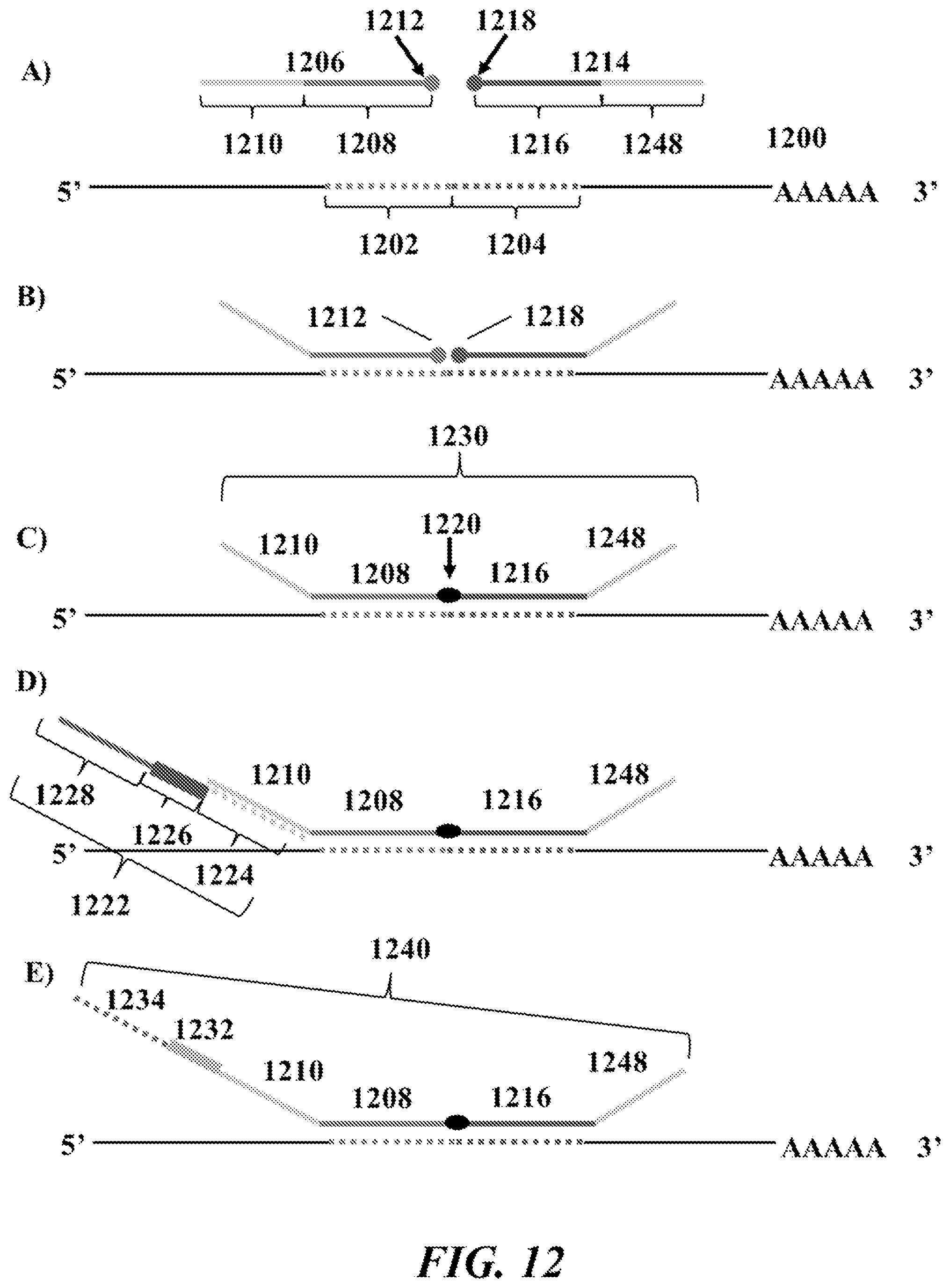 Patent US12092635 Figure 12 – Methods and systems for characterizing analytes from individual cells or cell populations