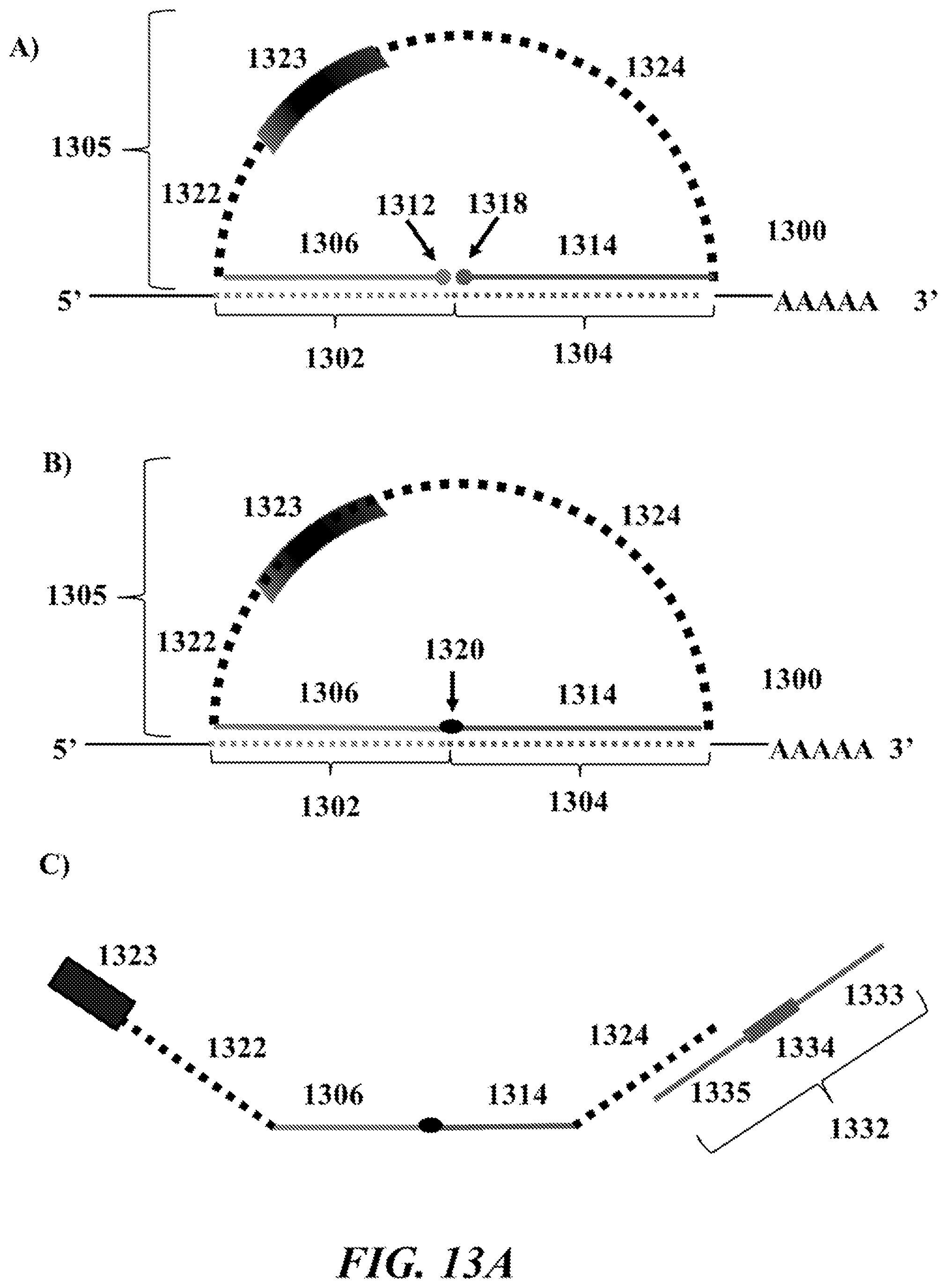 Patent US12092635 Figure 13 – Methods and systems for characterizing analytes from individual cells or cell populations