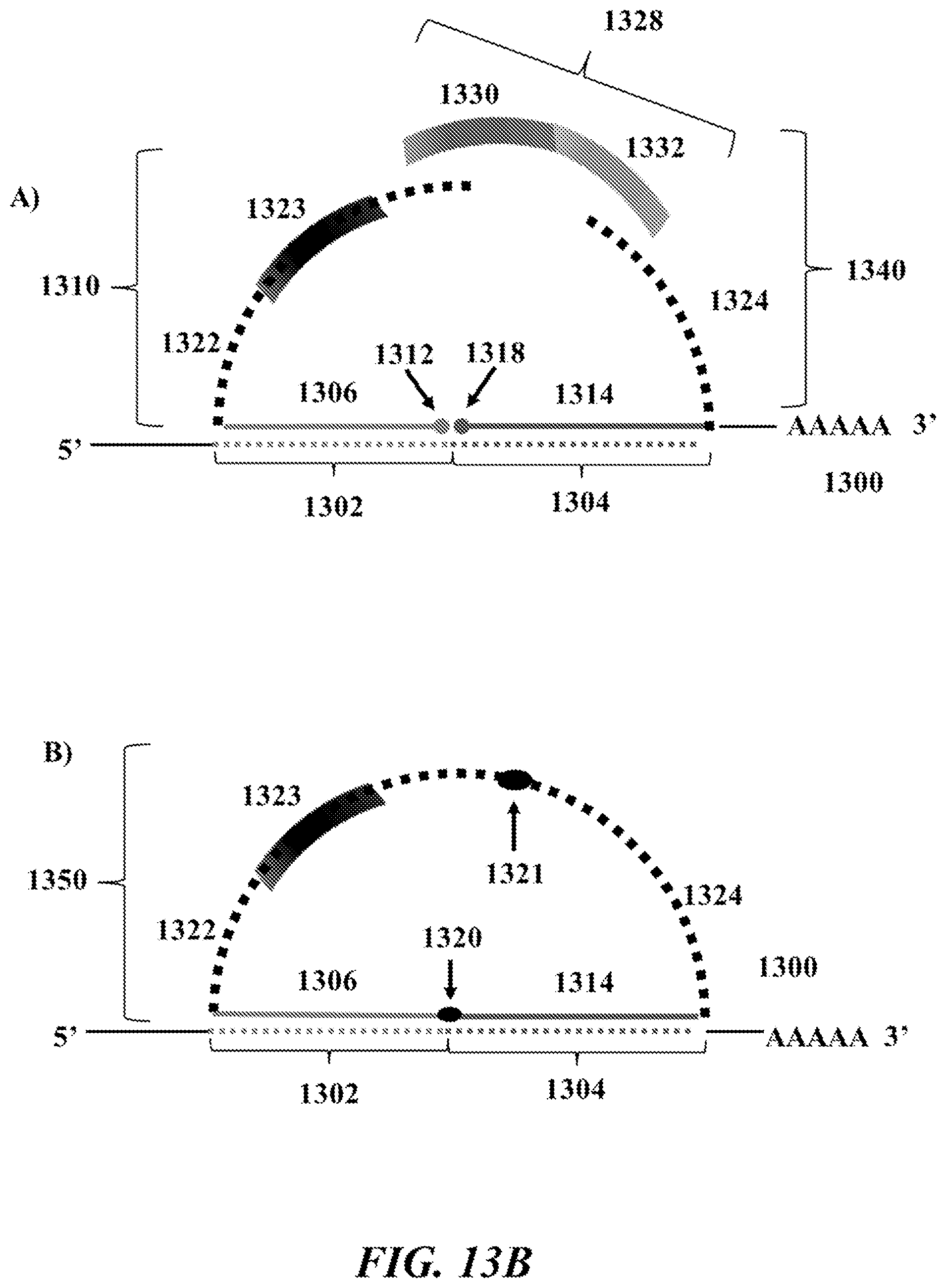 Patent US12092635 Figure 14 – Methods and systems for characterizing analytes from individual cells or cell populations