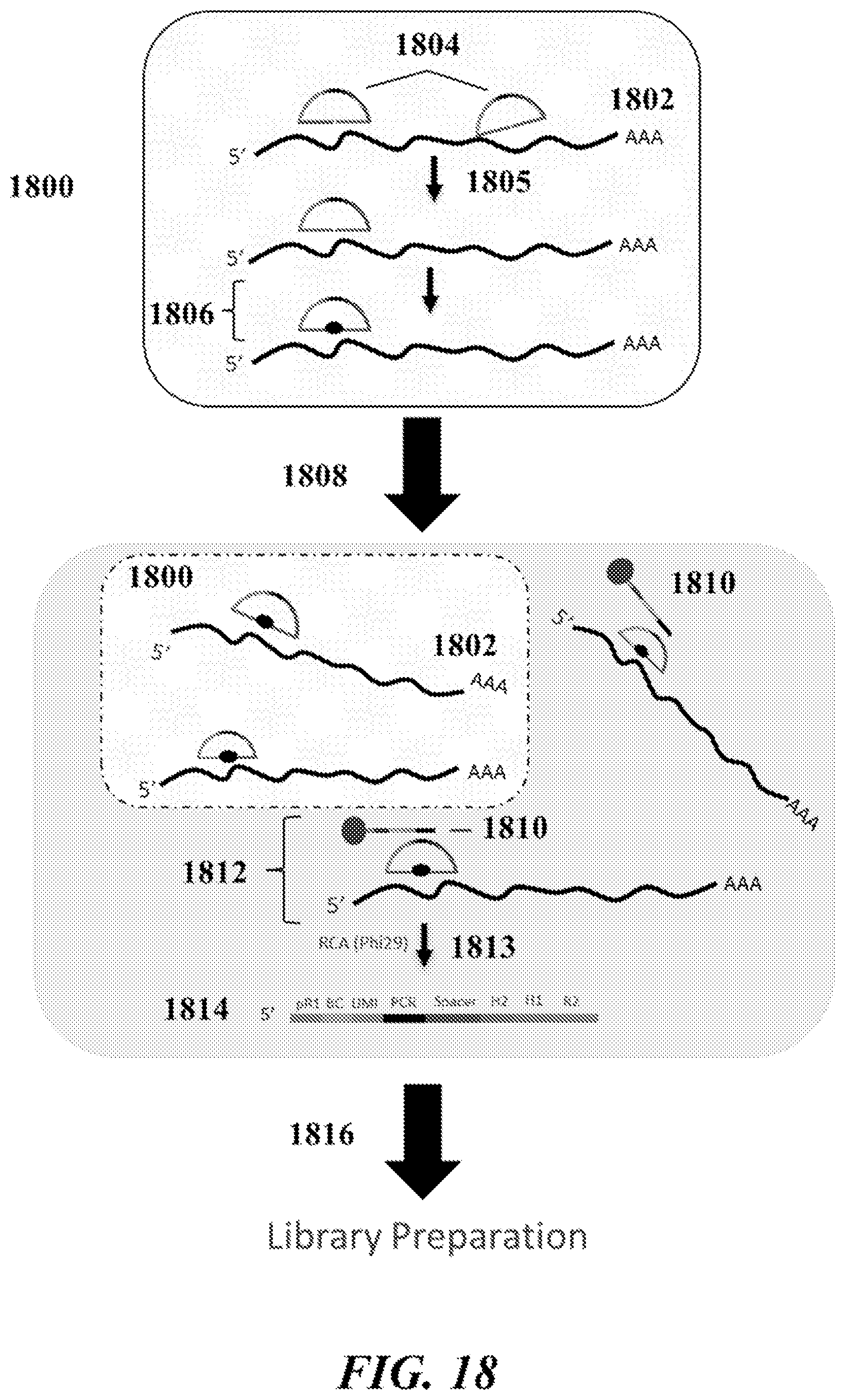 Patent US12092635 Figure 19 – Methods and systems for characterizing analytes from individual cells or cell populations