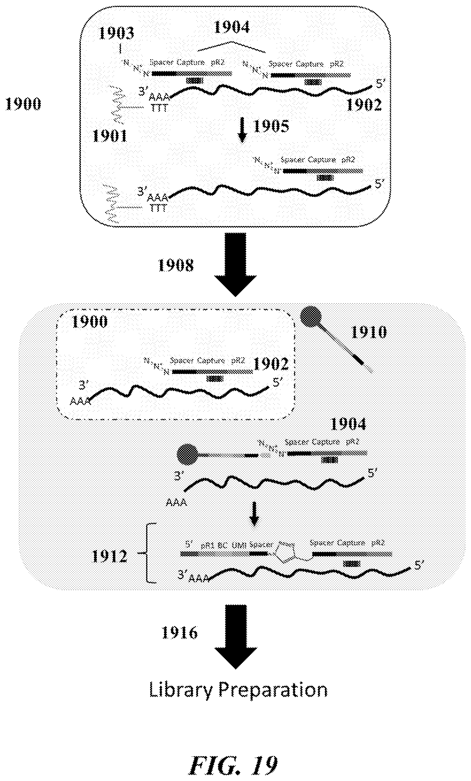 Patent US12092635 Figure 20 – Methods and systems for characterizing analytes from individual cells or cell populations