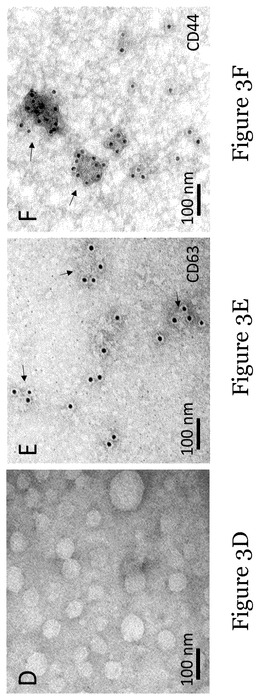 Patent US12092636 Figure 5 – Sensor for liquid biopsy and its method of making, and method of non-invasive liquid biopsy