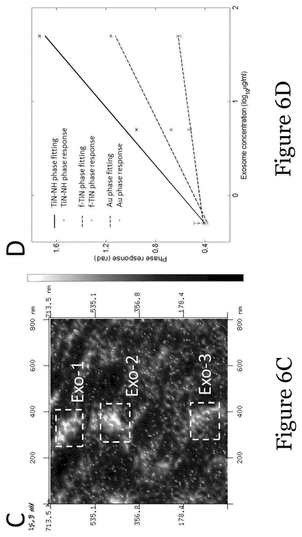 Patent US12092636 Figure 10 – Sensor for liquid biopsy and its method of making, and method of non-invasive liquid biopsy
