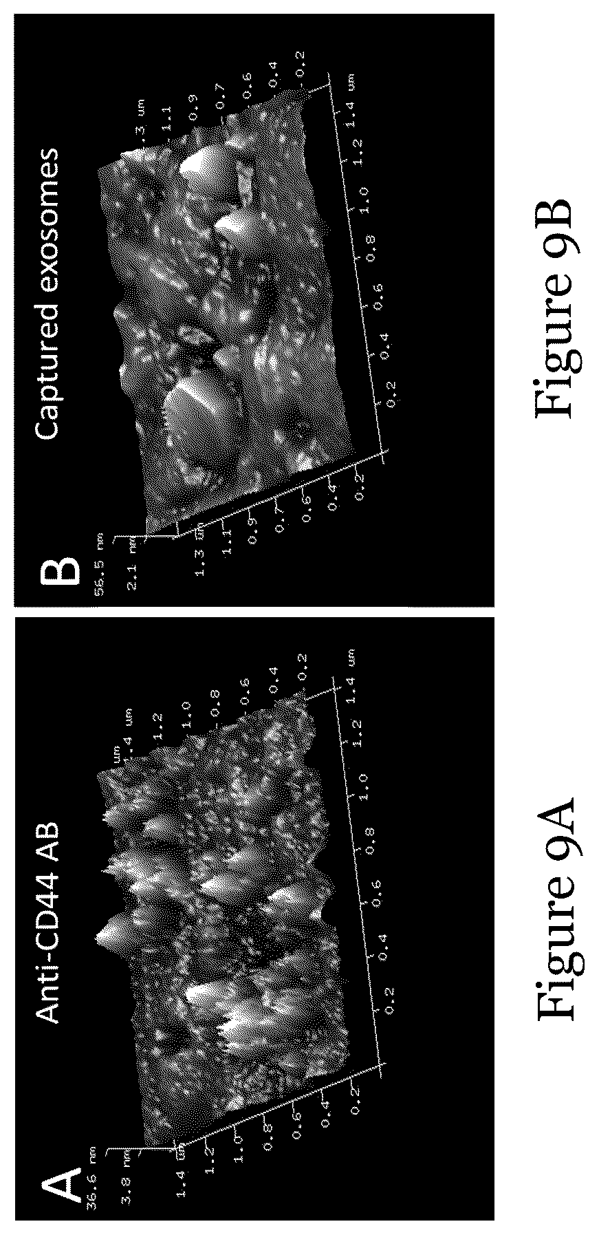 Patent US12092636 Figure 14 – Sensor for liquid biopsy and its method of making, and method of non-invasive liquid biopsy