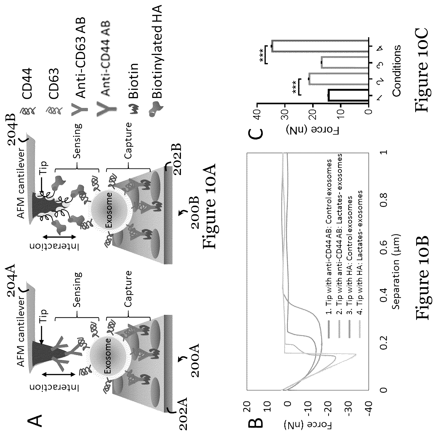 Patent US12092636 Figure 16 – Sensor for liquid biopsy and its method of making, and method of non-invasive liquid biopsy