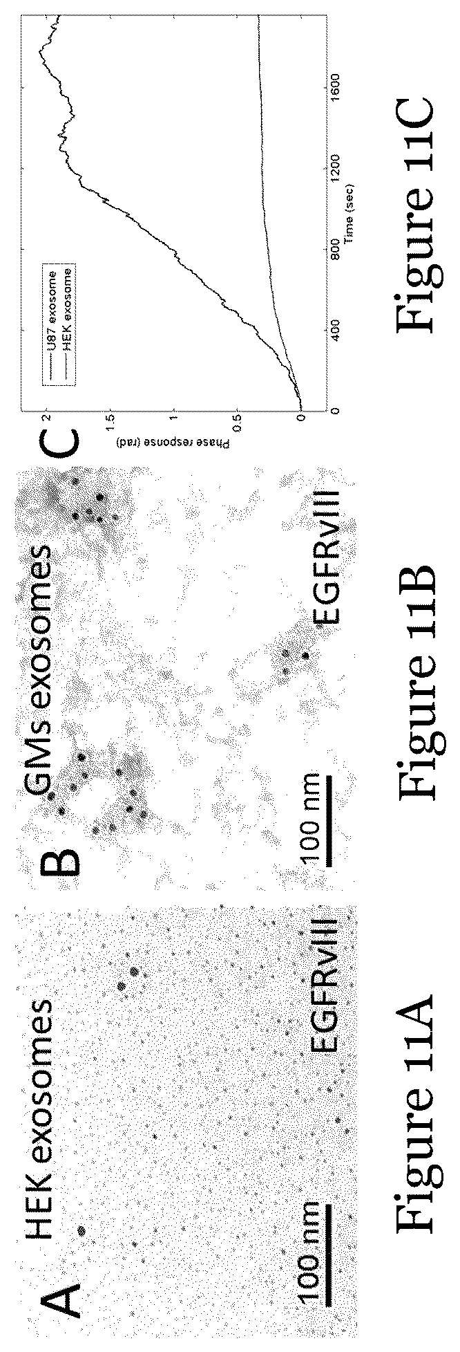 Patent US12092636 Figure 17 – Sensor for liquid biopsy and its method of making, and method of non-invasive liquid biopsy