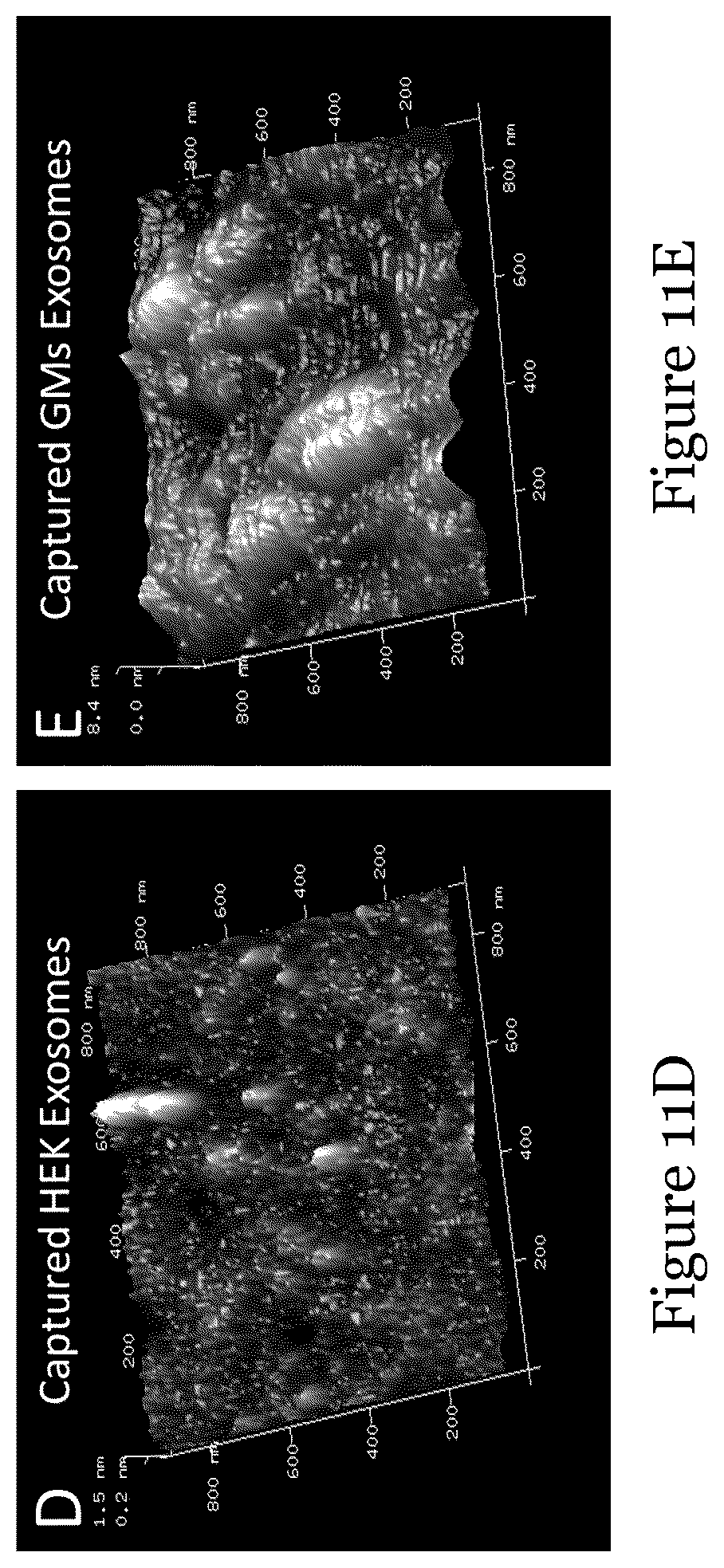 Patent US12092636 Figure 18 – Sensor for liquid biopsy and its method of making, and method of non-invasive liquid biopsy