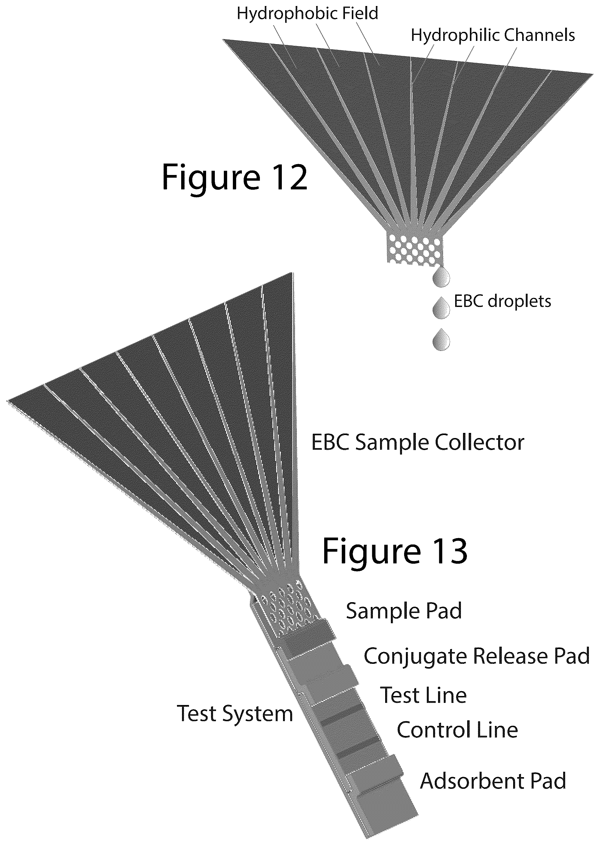 Patent US12092639 Figure 4 – Using exhaled breath condensate, aerosols and gases for detecting biomarkers
