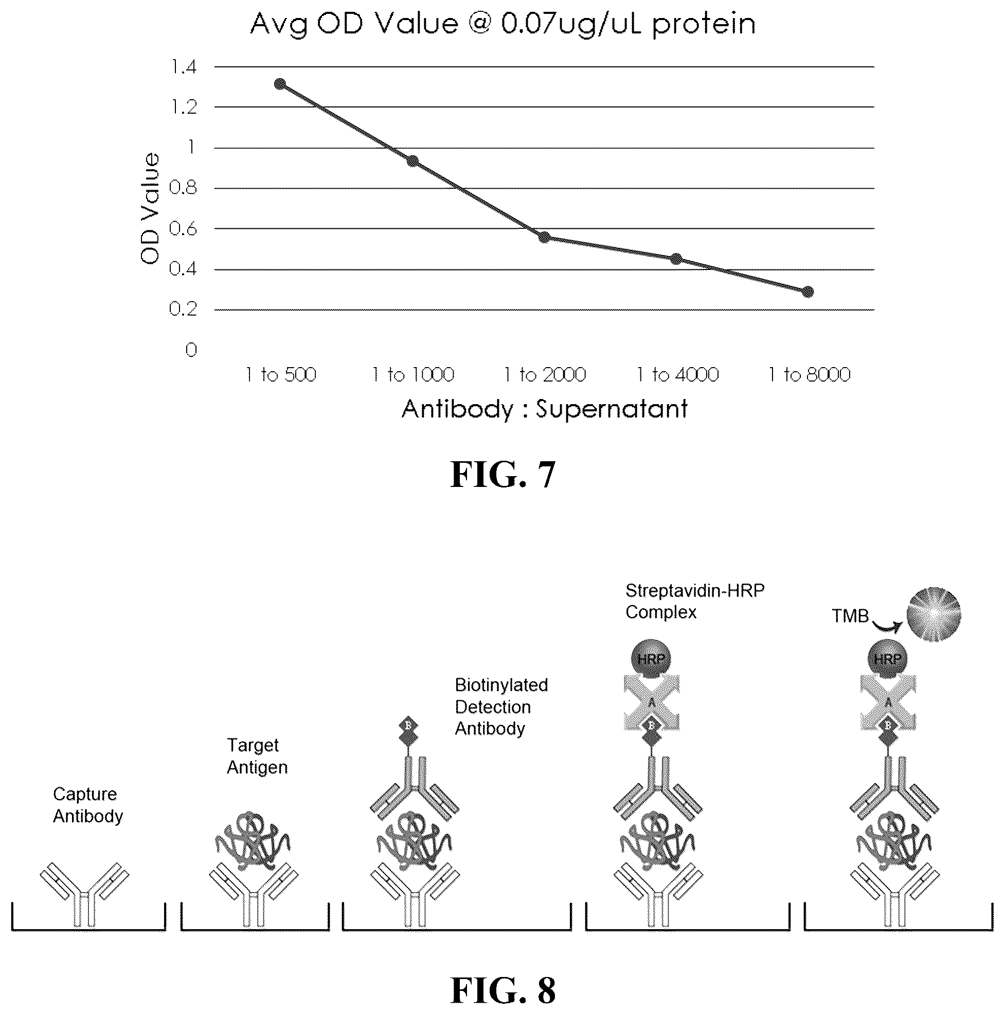 Patent US12092640 Figure 5 – Methods and compositions for diagnosis of rickettsia infection