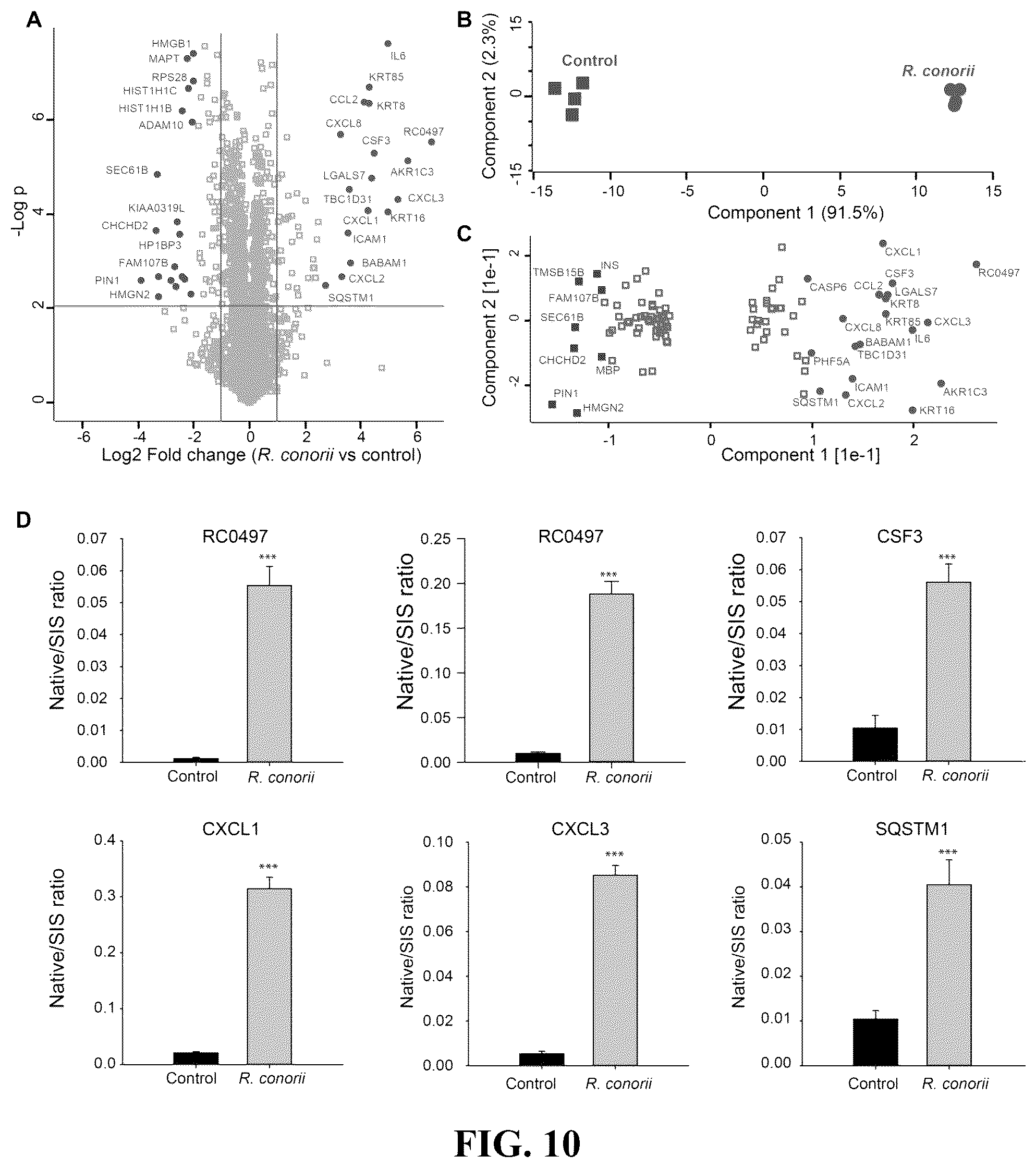 Patent US12092640 Figure 7 – Methods and compositions for diagnosis of rickettsia infection