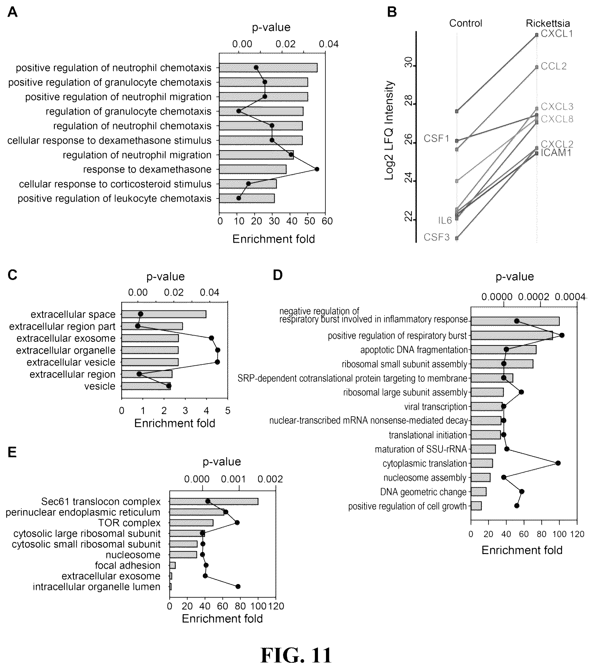 Patent US12092640 Figure 8 – Methods and compositions for diagnosis of rickettsia infection