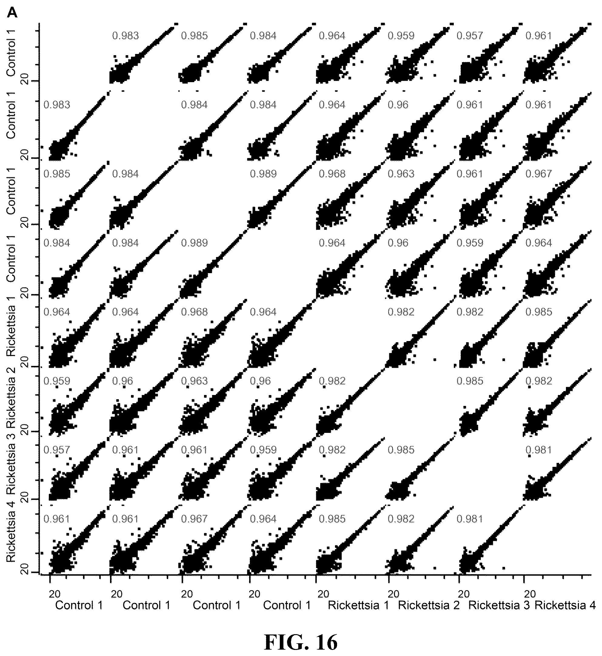 Patent US12092640 Figure 13 – Methods and compositions for diagnosis of rickettsia infection