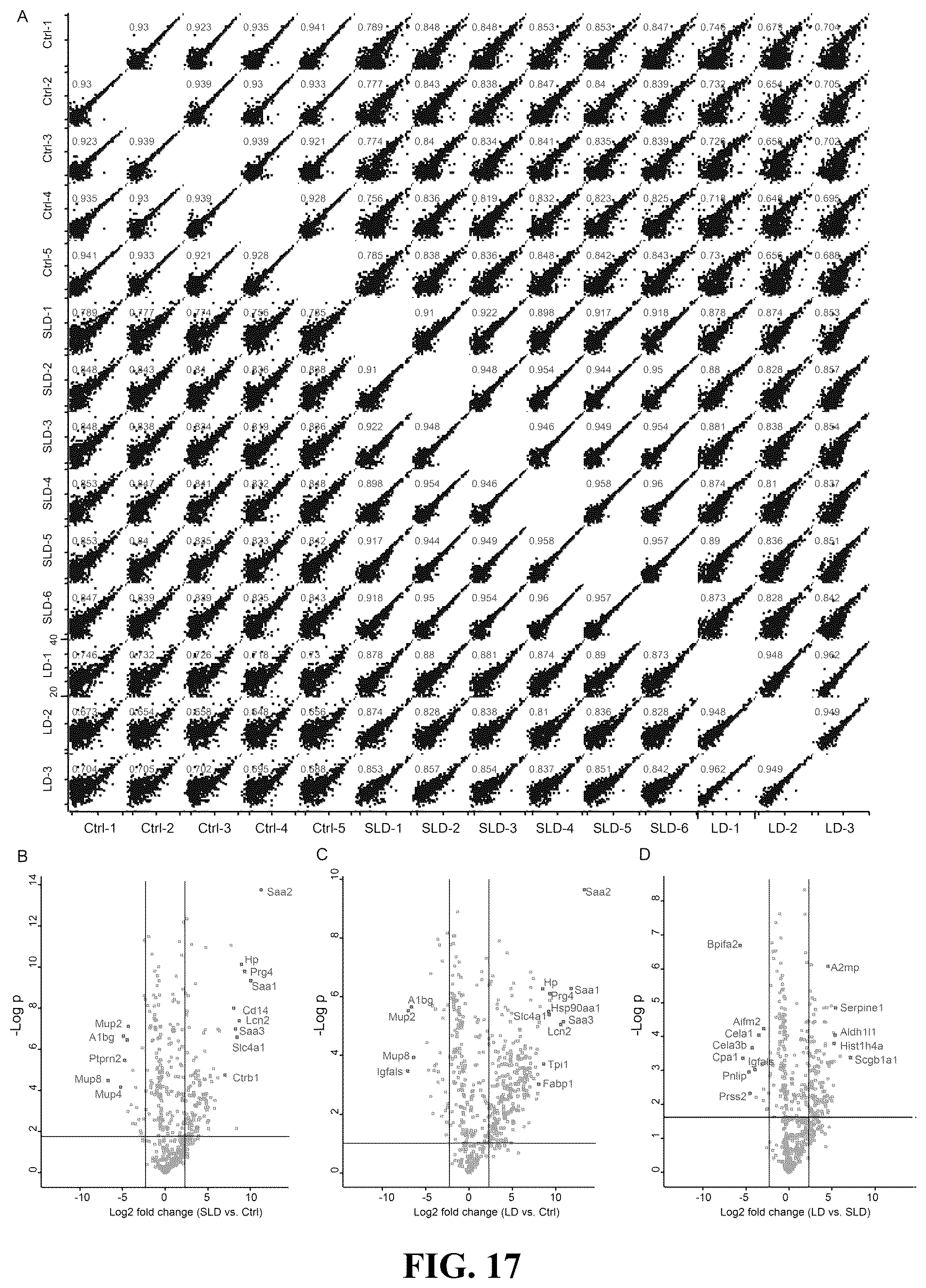 Patent US12092640 Figure 14 – Methods and compositions for diagnosis of rickettsia infection