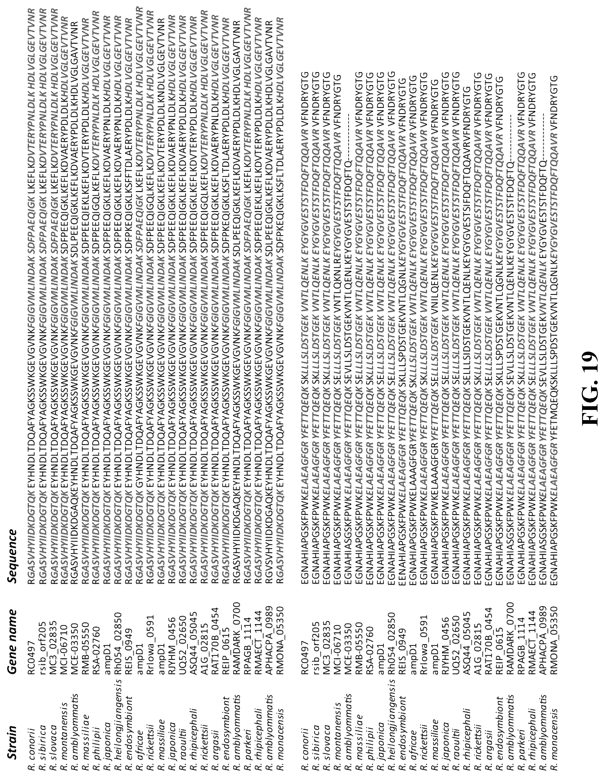 Patent US12092640 Figure 16 – Methods and compositions for diagnosis of rickettsia infection