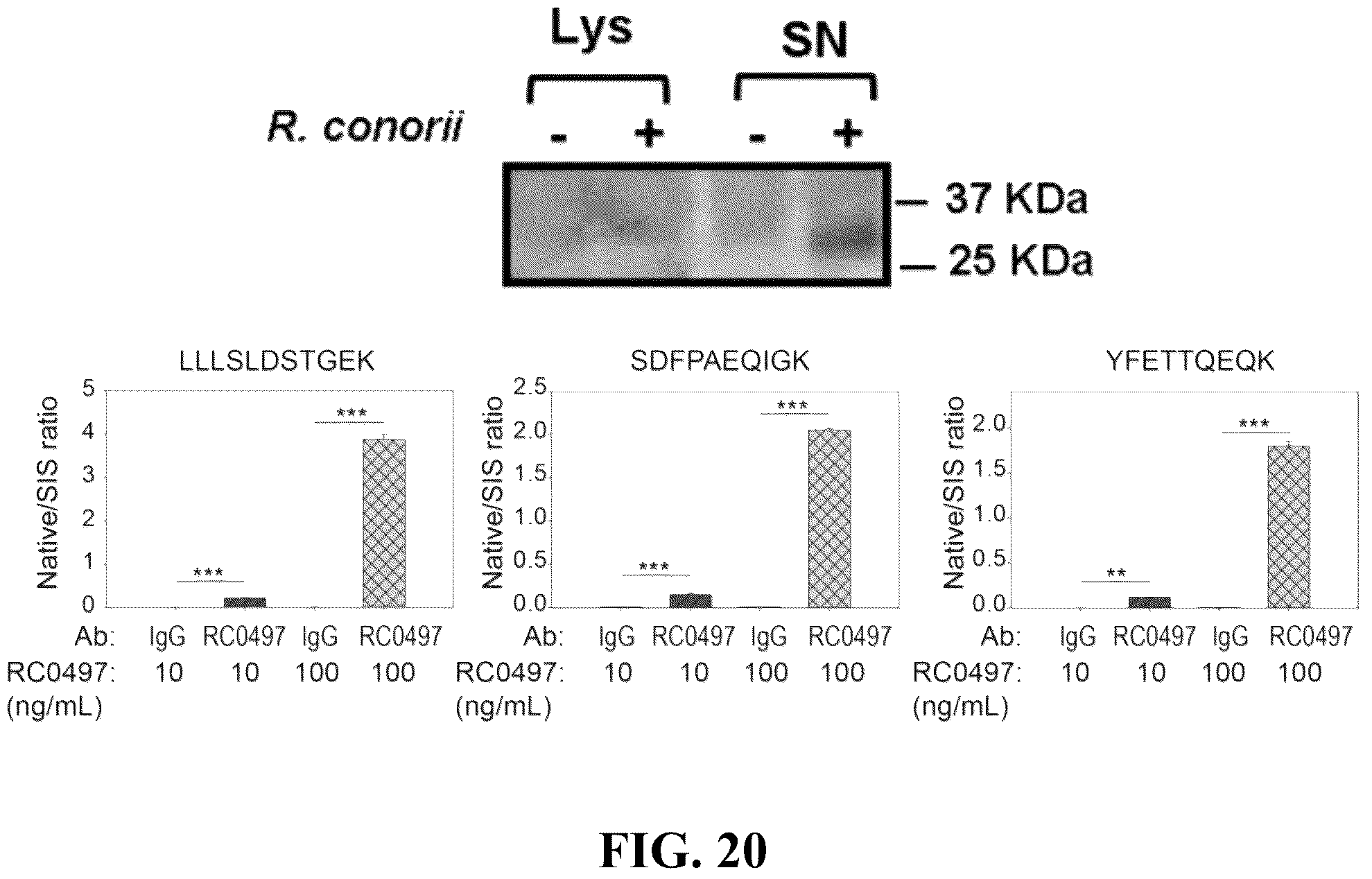 Patent US12092640 Figure 17 – Methods and compositions for diagnosis of rickettsia infection