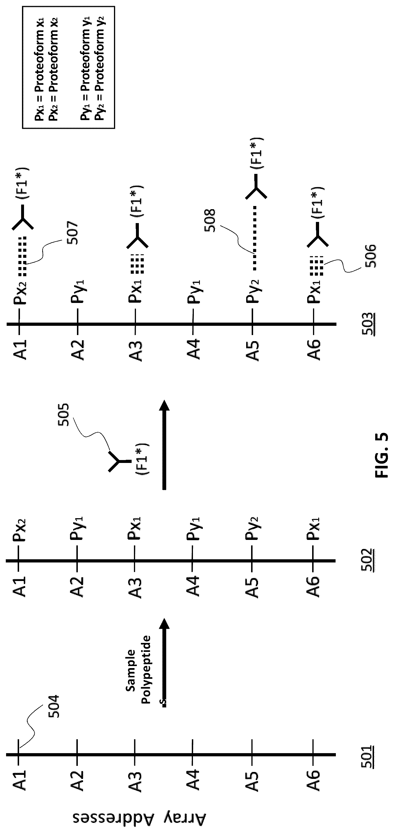 Patent US12092642 Figure 7 – Systems and methods for biomolecule quantitation