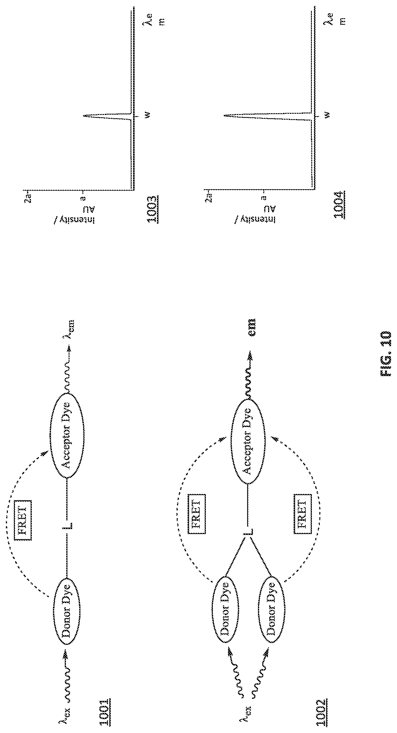 Patent US12092642 Figure 12 – Systems and methods for biomolecule quantitation