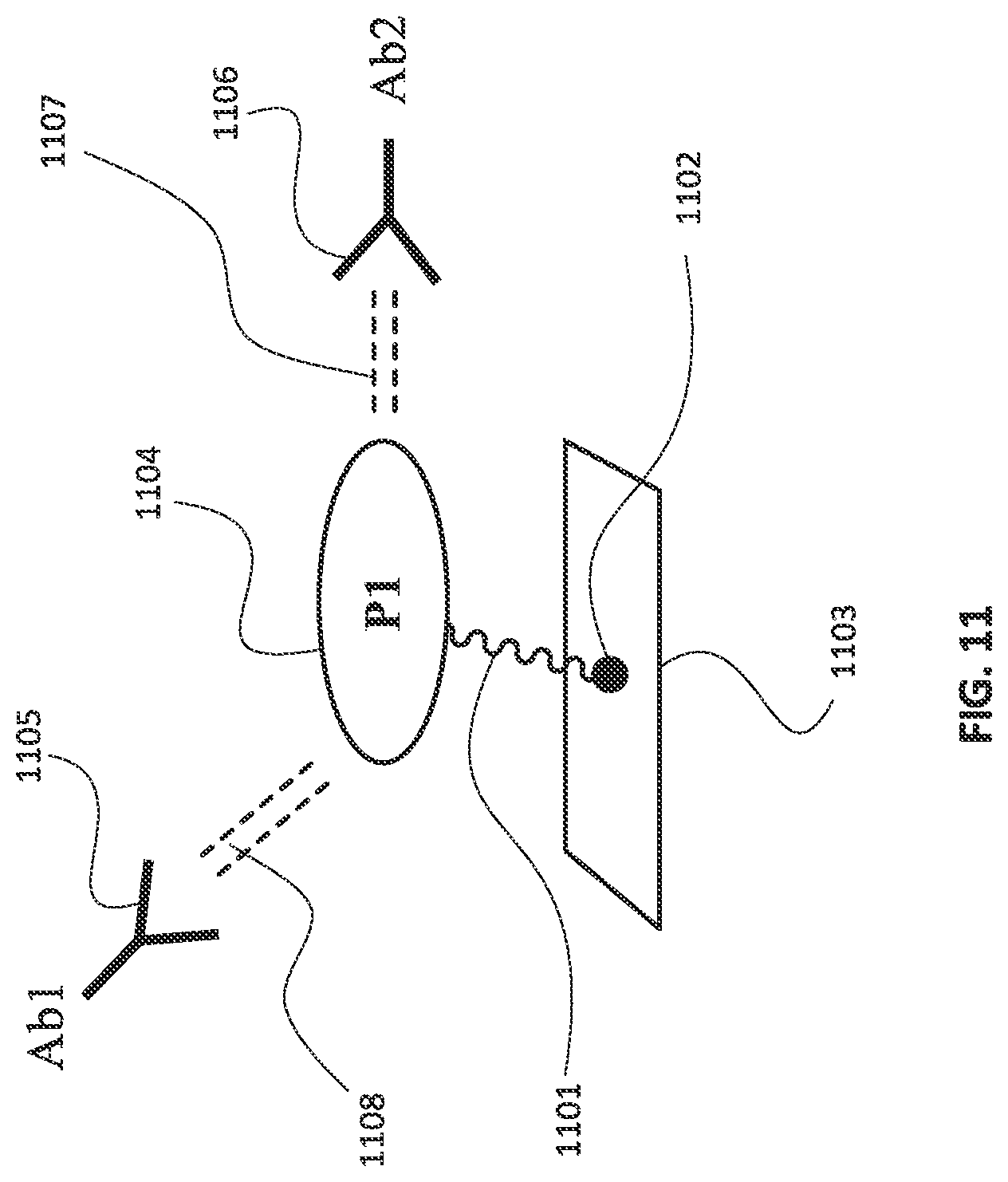 Patent US12092642 Figure 13 – Systems and methods for biomolecule quantitation