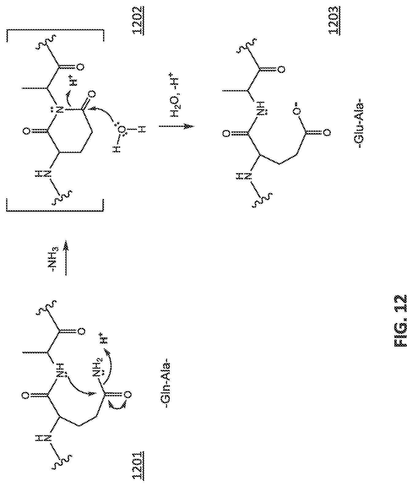 Patent US12092642 Figure 14 – Systems and methods for biomolecule quantitation
