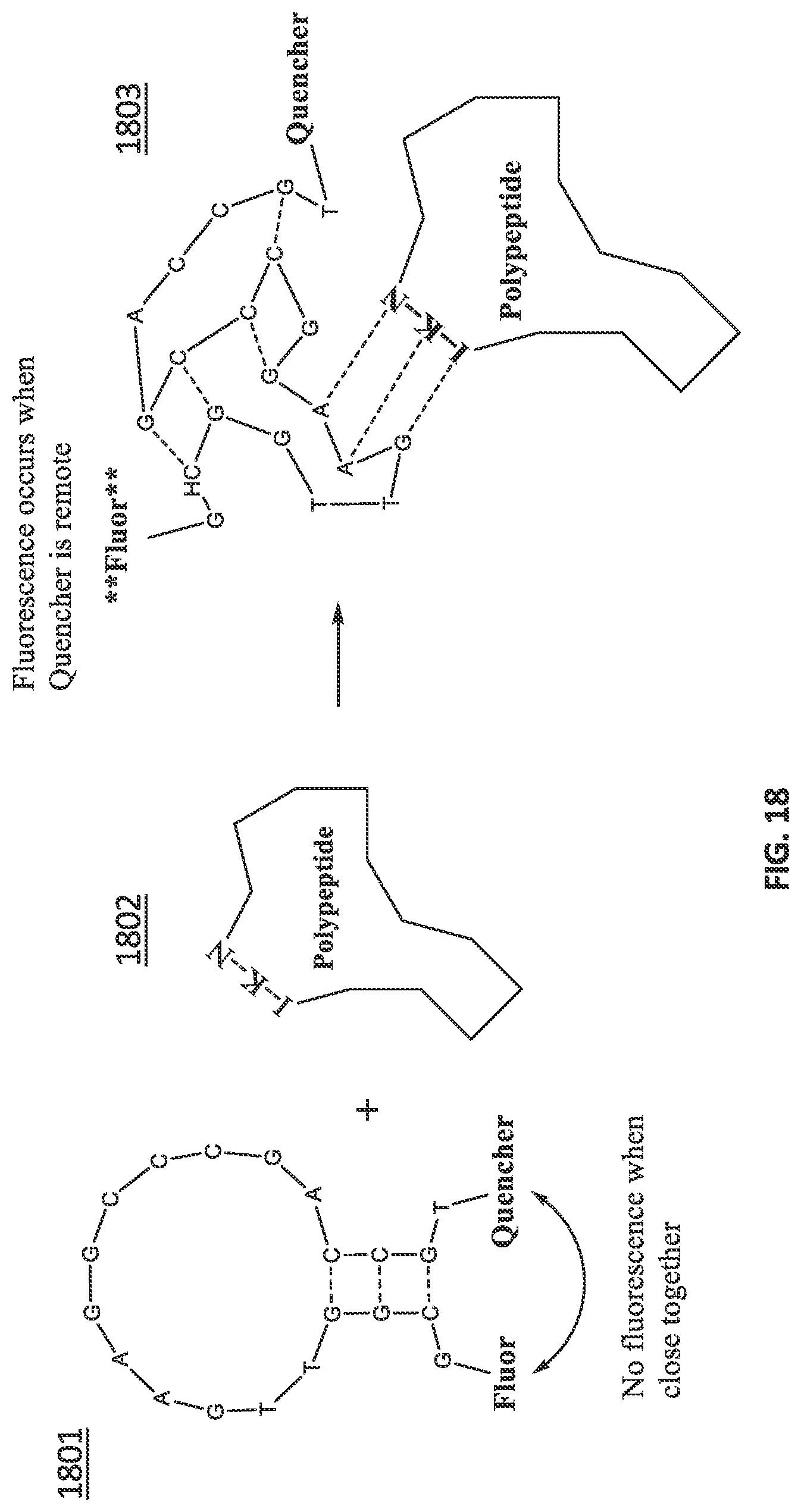 Patent US12092642 Figure 20 – Systems and methods for biomolecule quantitation