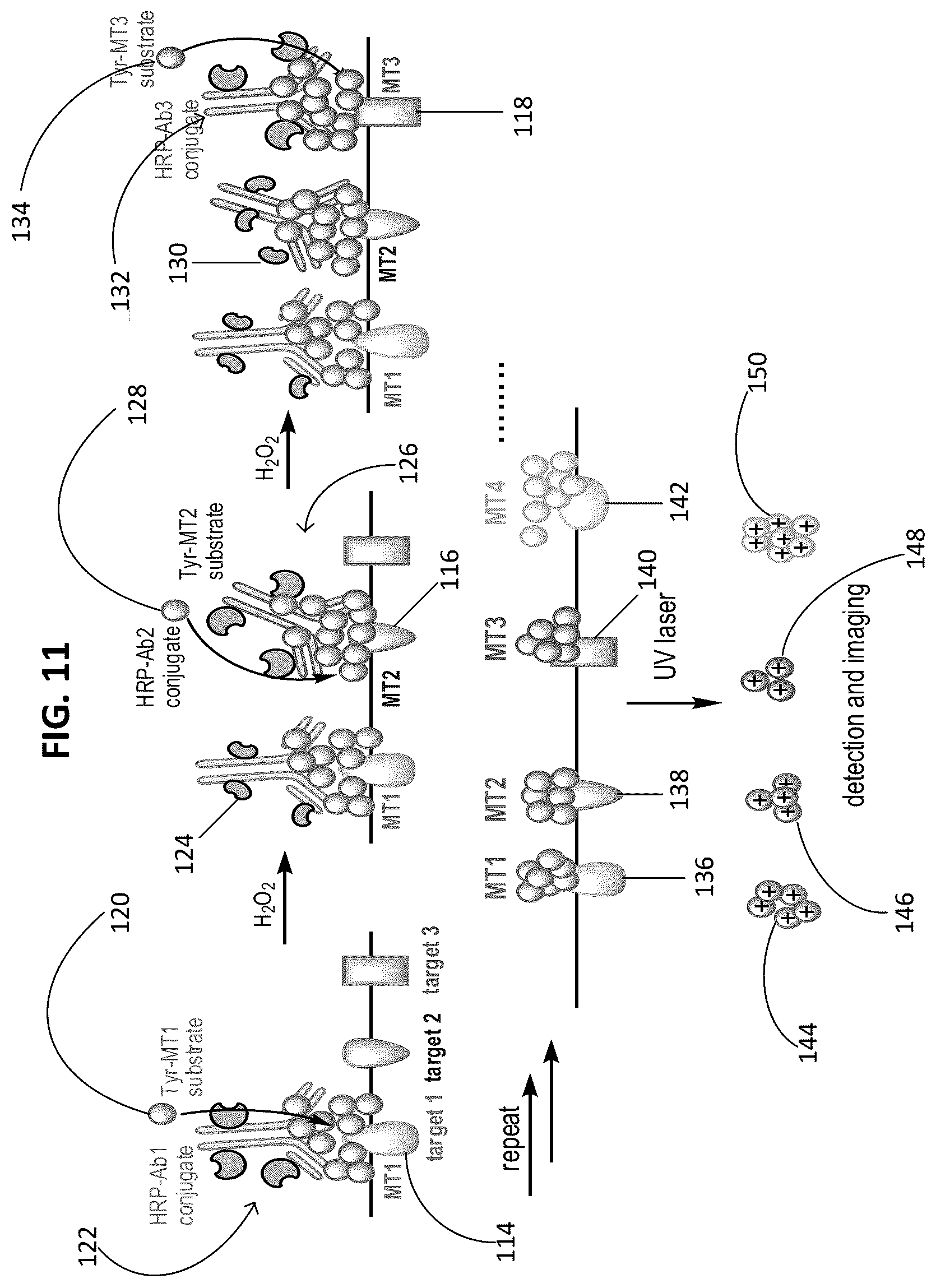Patent US12092643 Figure 8 – Detecting targets using mass tags and mass spectrometry