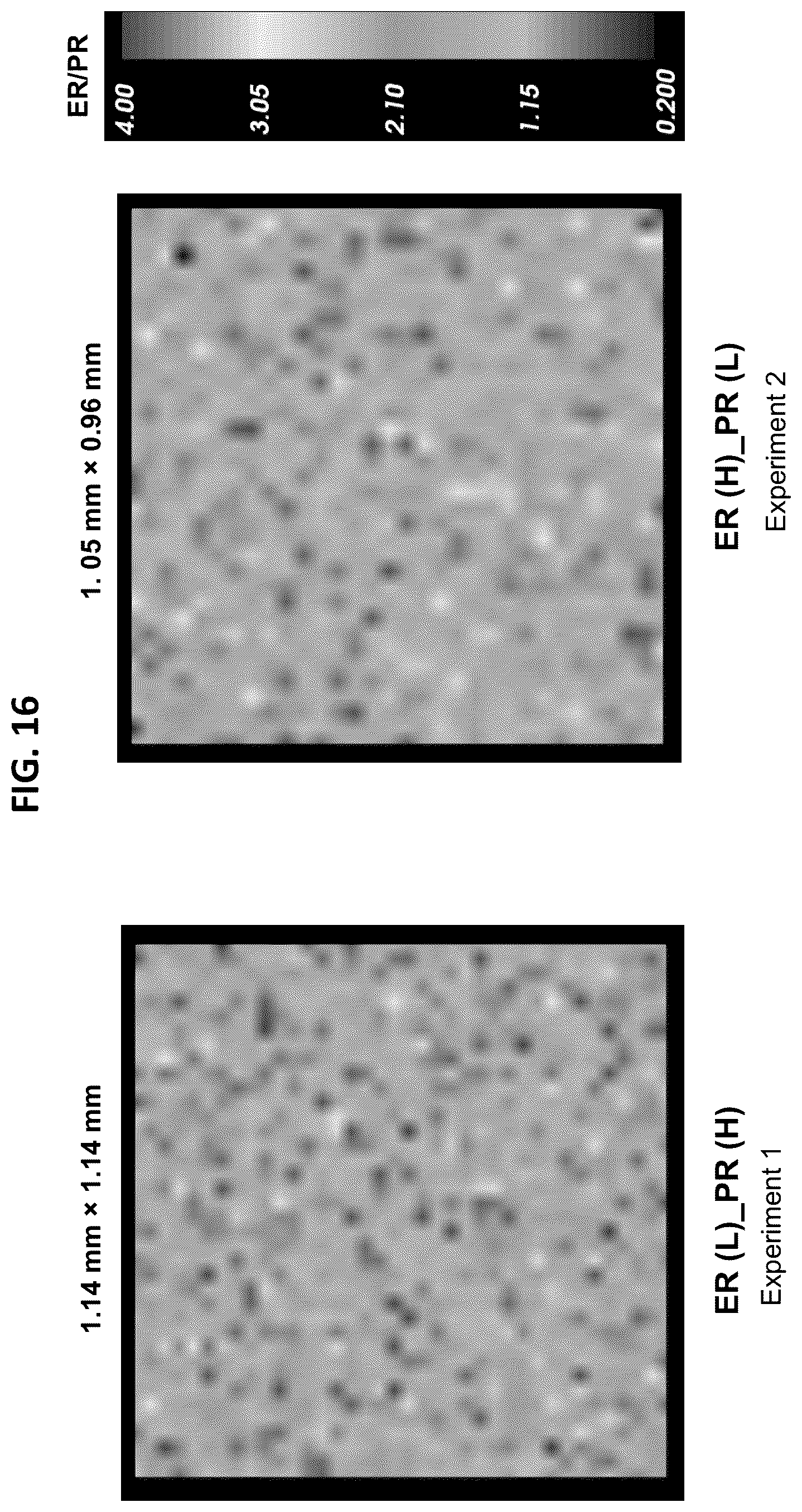 Patent US12092643 Figure 12 – Detecting targets using mass tags and mass spectrometry