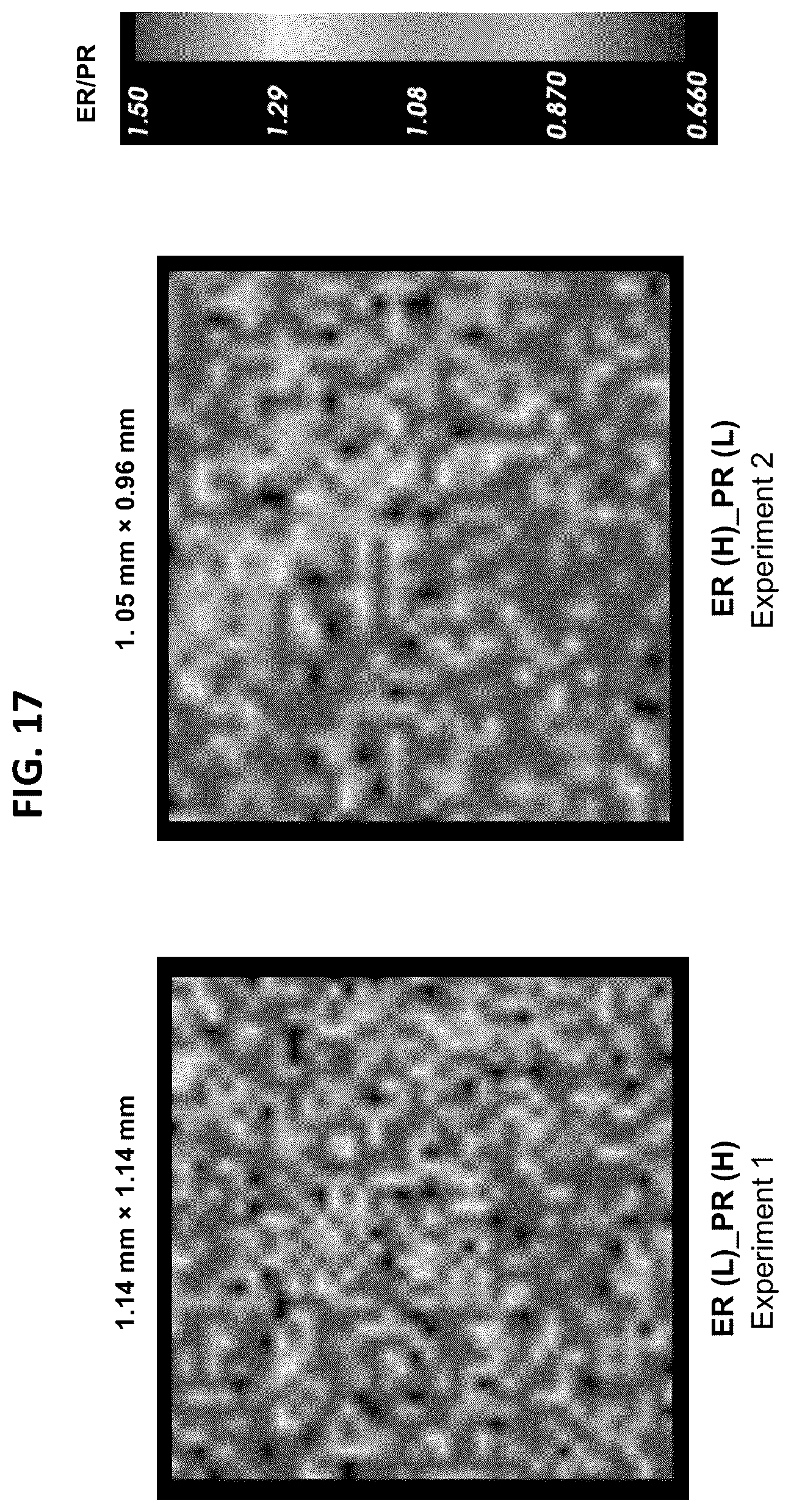 Patent US12092643 Figure 13 – Detecting targets using mass tags and mass spectrometry