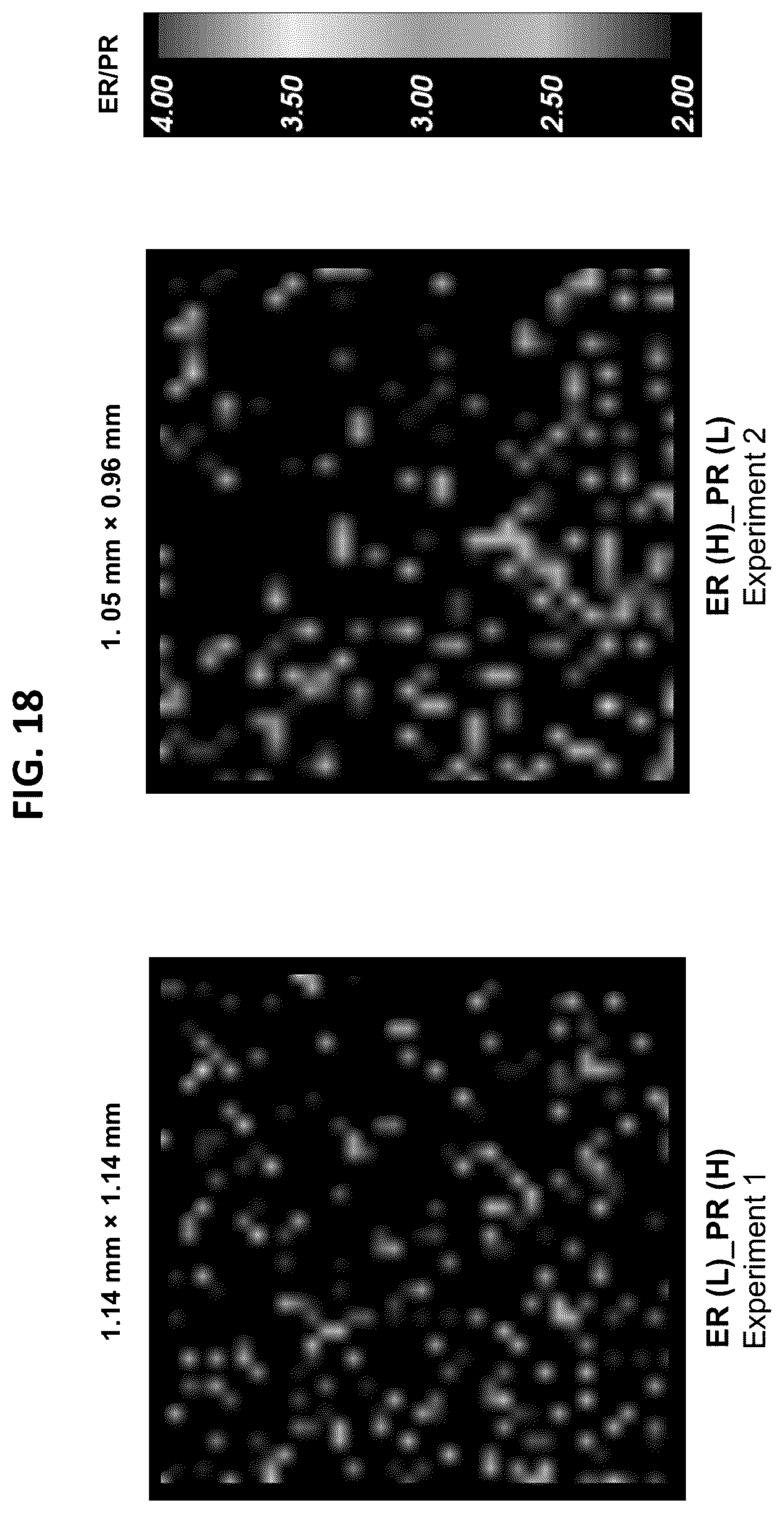 Patent US12092643 Figure 14 – Detecting targets using mass tags and mass spectrometry